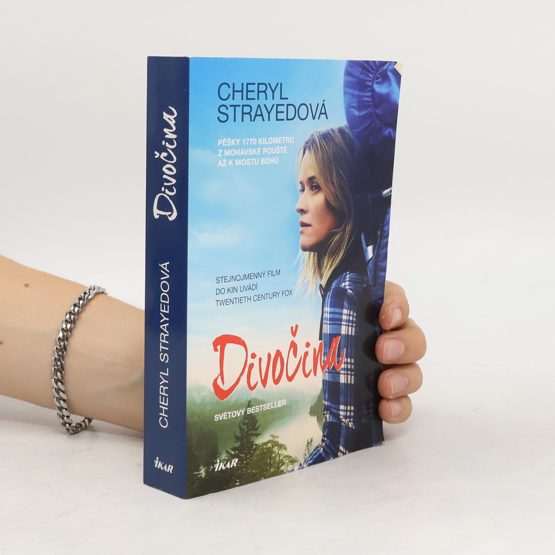 Cheryl Strayed Divočina. Pěšky 1770 kilometrů z Mohavské pouště až k mostu bohů