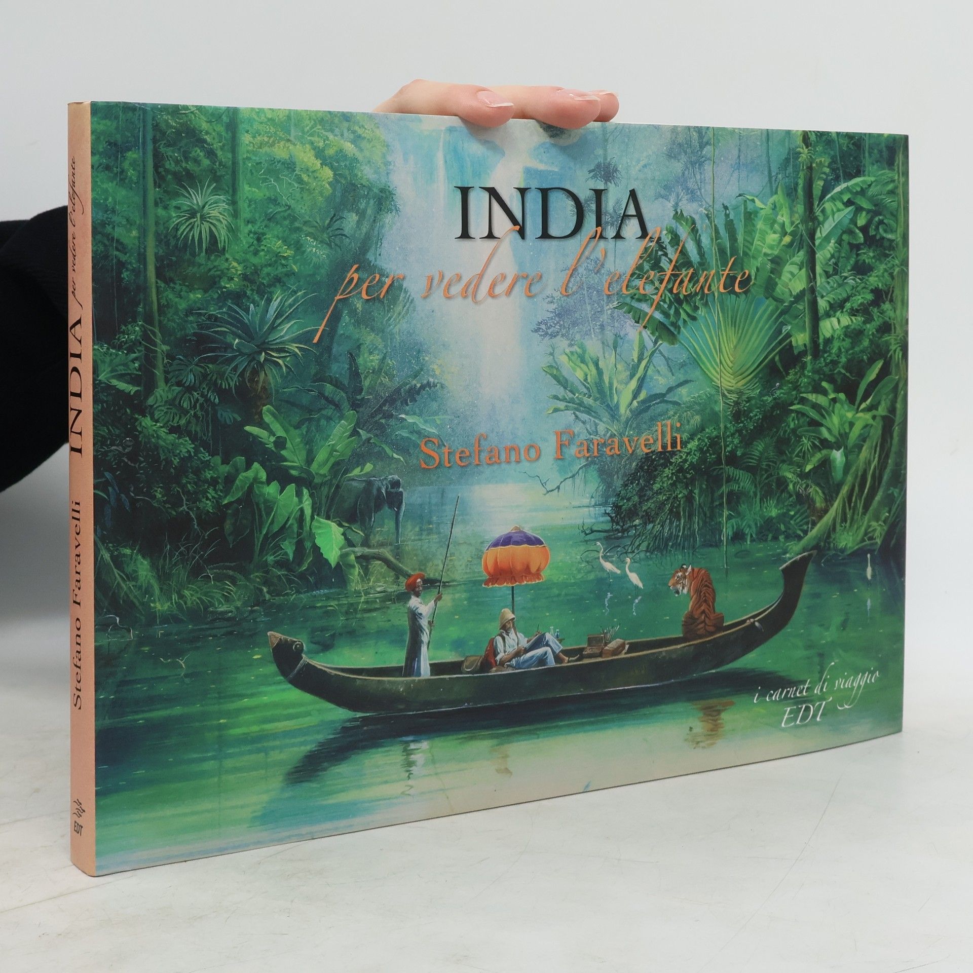 Stefano Faravelli India. Carnet di viaggio
