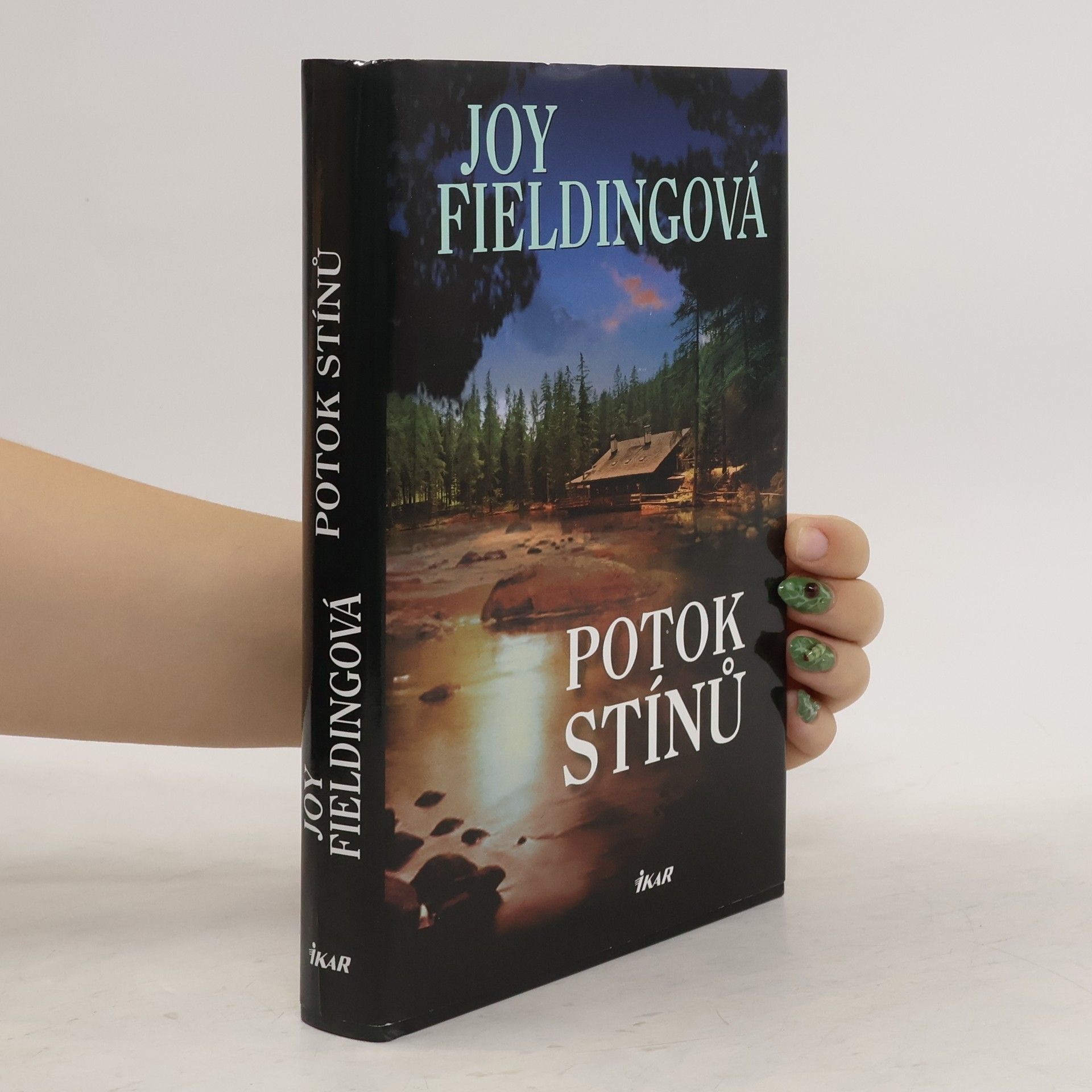 Joy Fielding Potok stínů