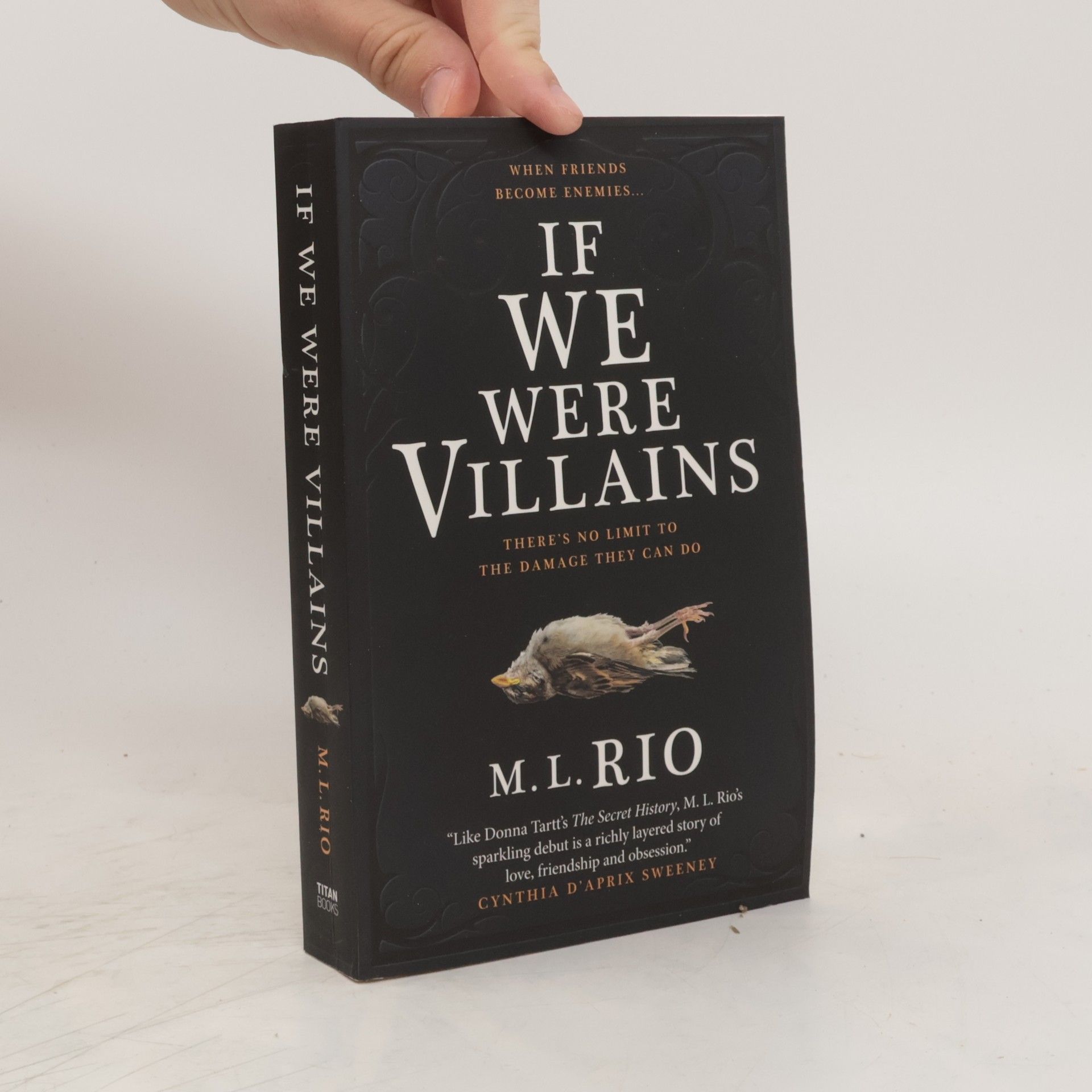 M. L. Rio If We Were Villains