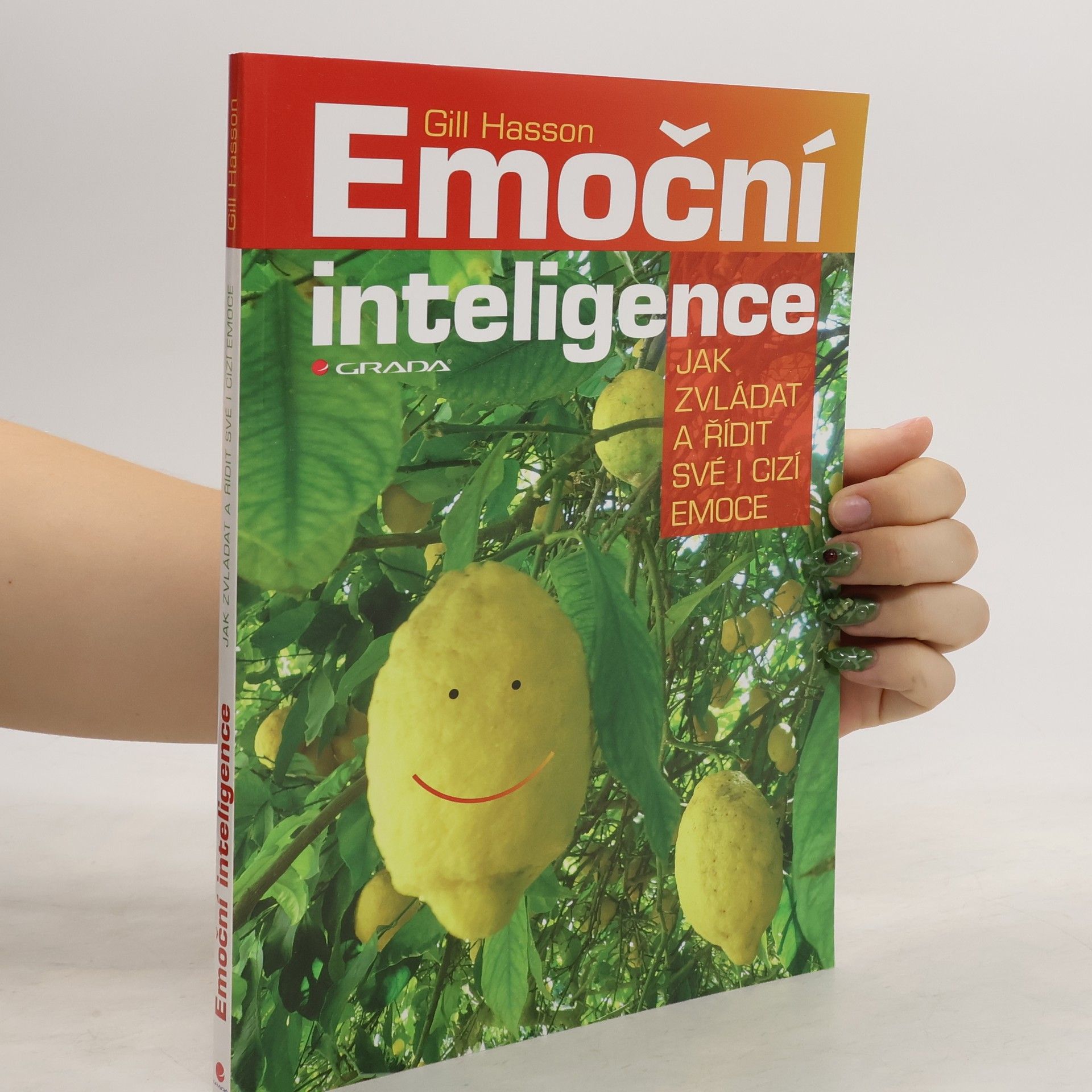 Gill Hasson Emoční inteligence