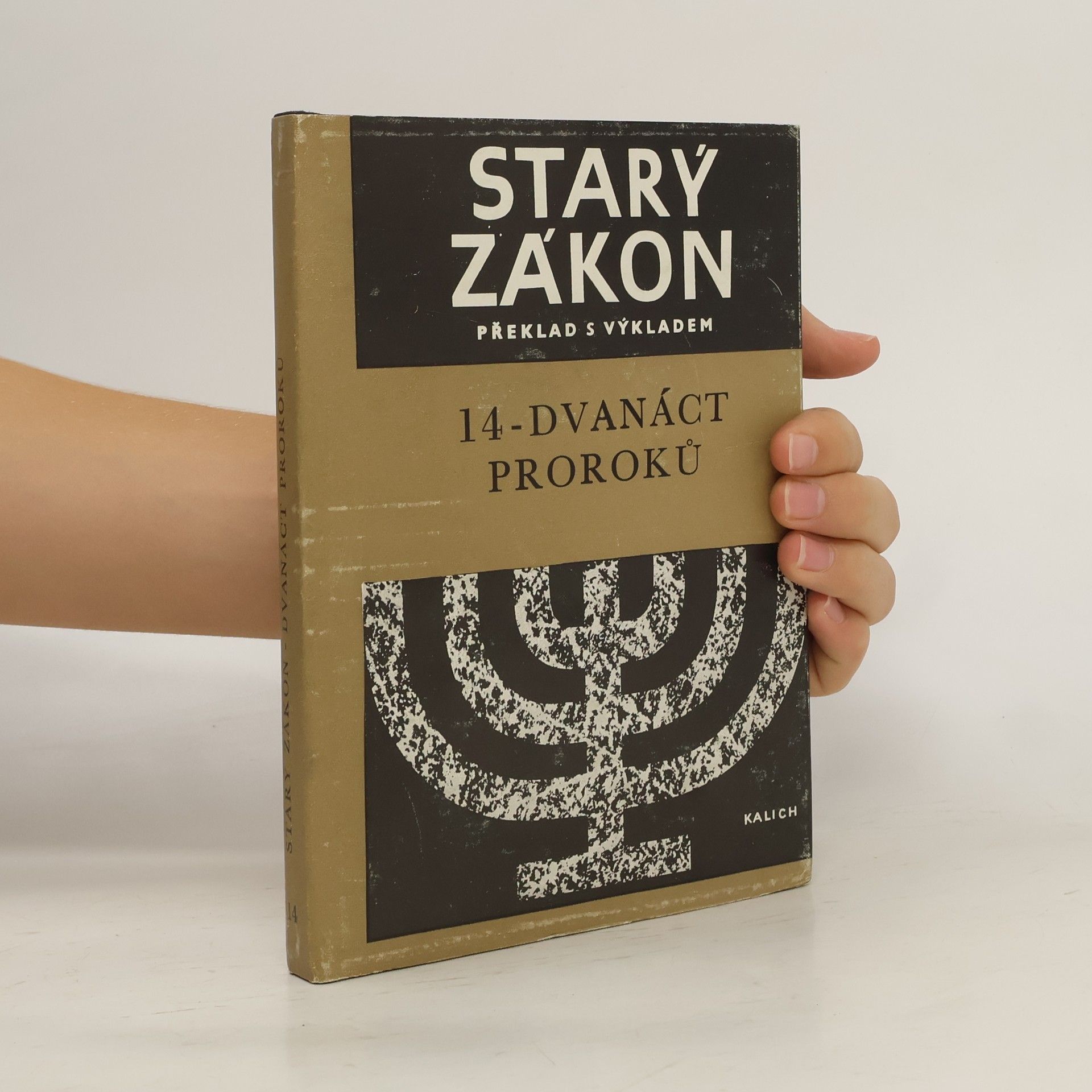 AA.VV. Starý zákon. Překlad s výkladem 14. Dvanáct proroků