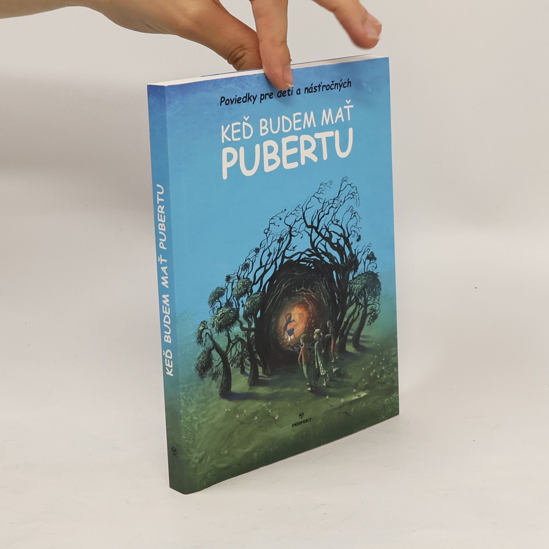 kolektiv Keď budem mať pubertu