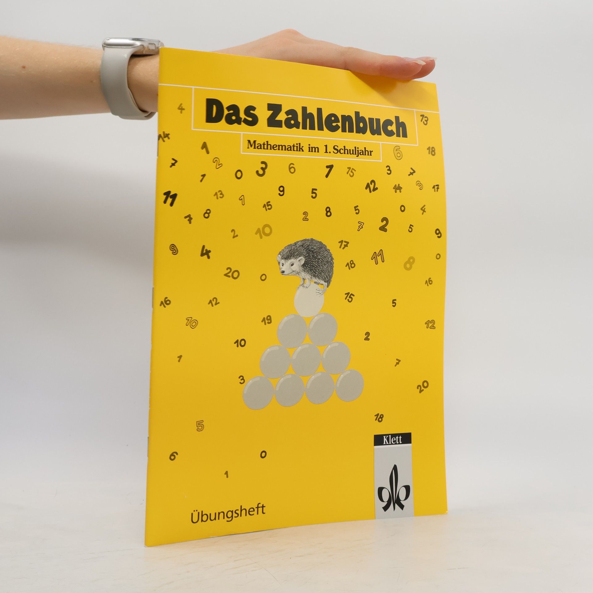 Autorenkollektiv Das Zahlenbuch - Mathematik im ... Schuljahr
