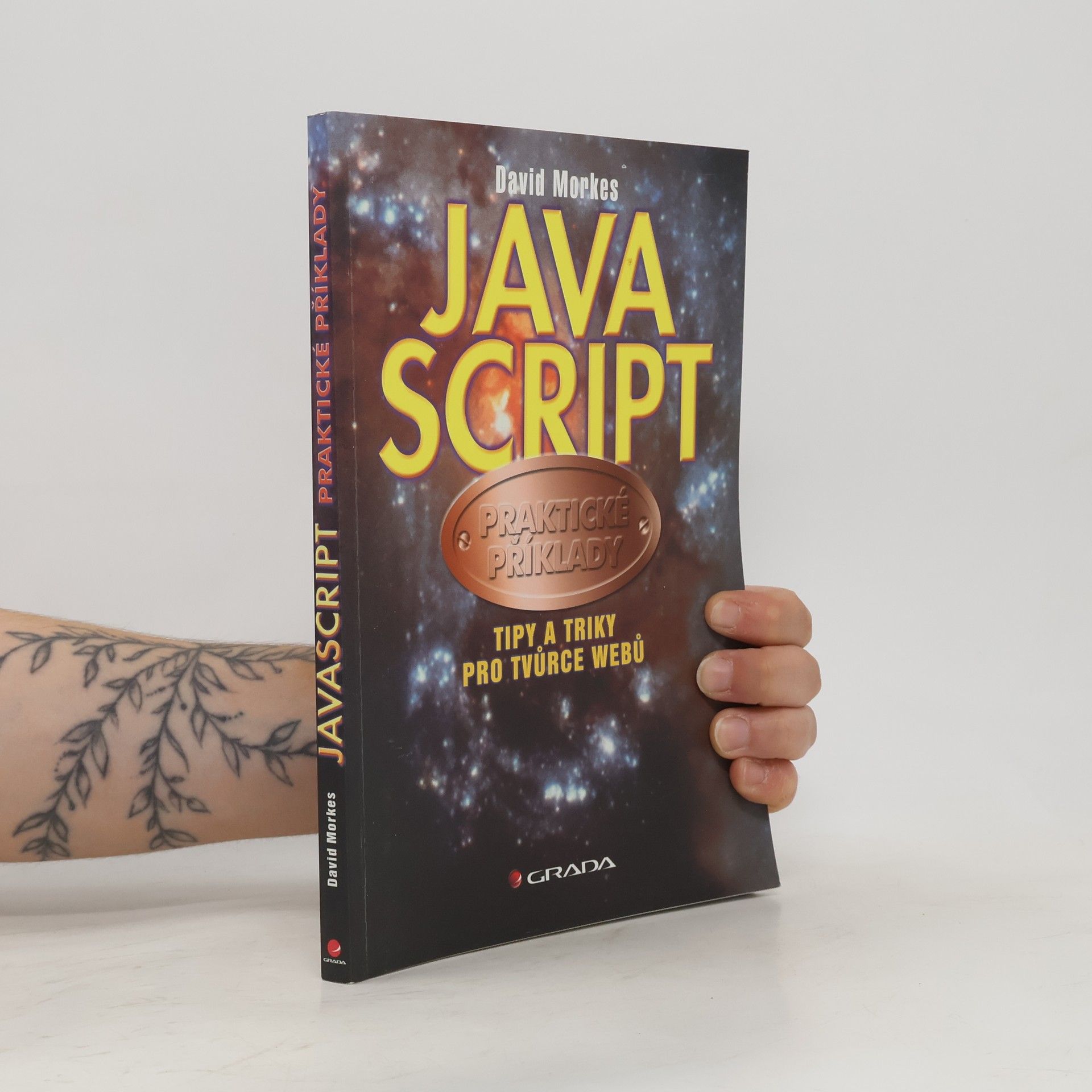 David Morkes JavaScript: Praktické příklady: Tipy a triky pro tvůrce webů