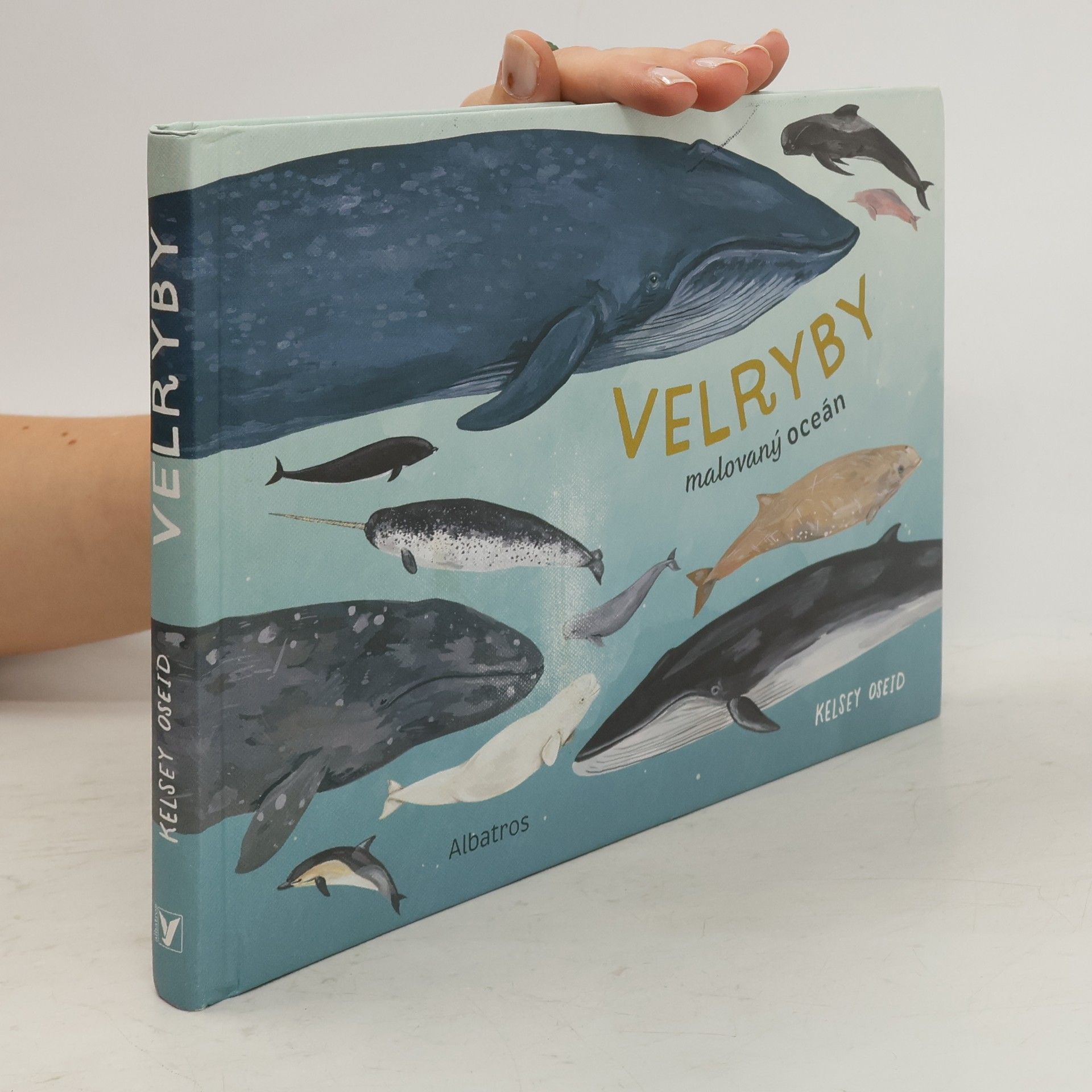 Kelsey Oseid Velryby: Malovaný oceán