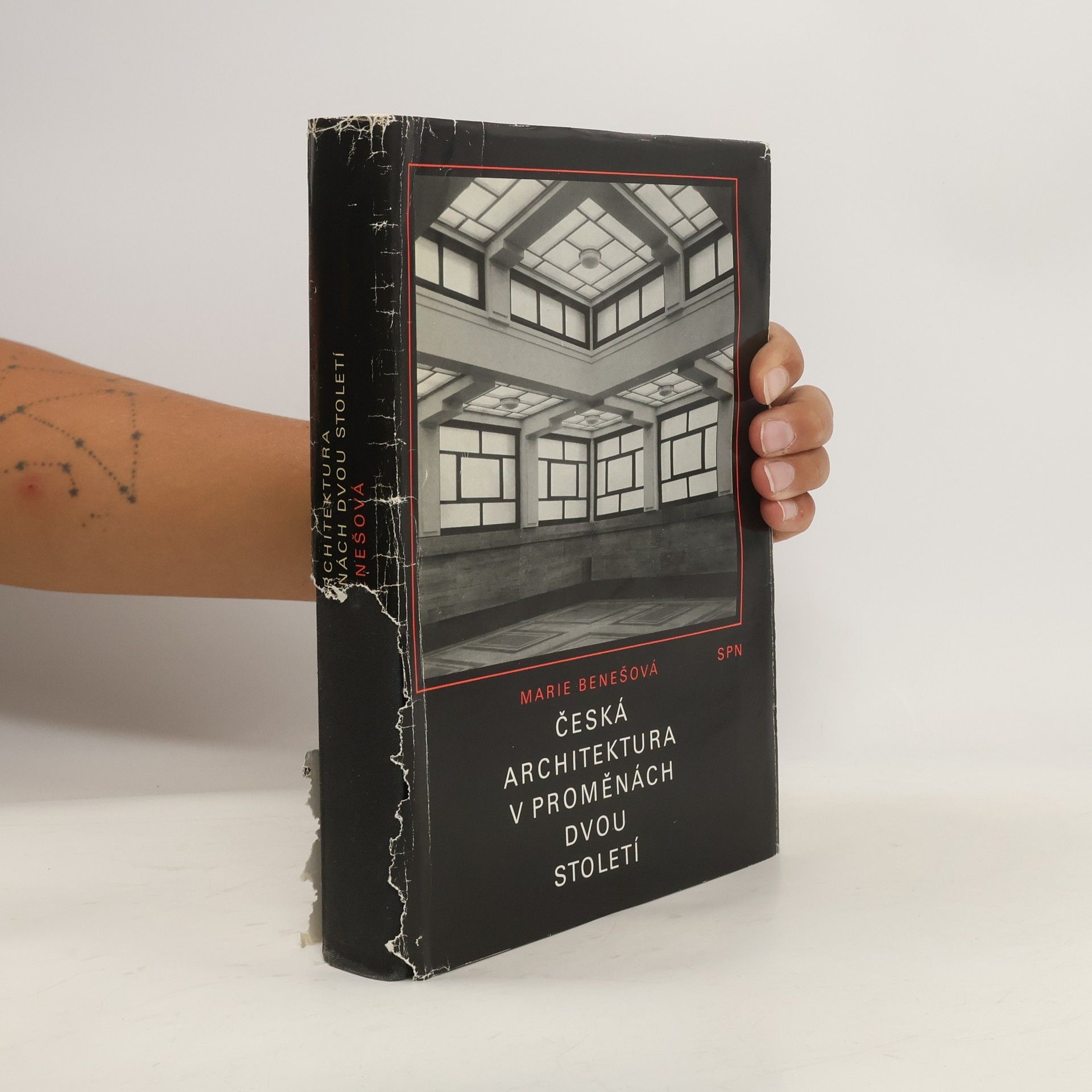 Marie Benešová Česká architektura v proměnách dvou století (1780-1980)