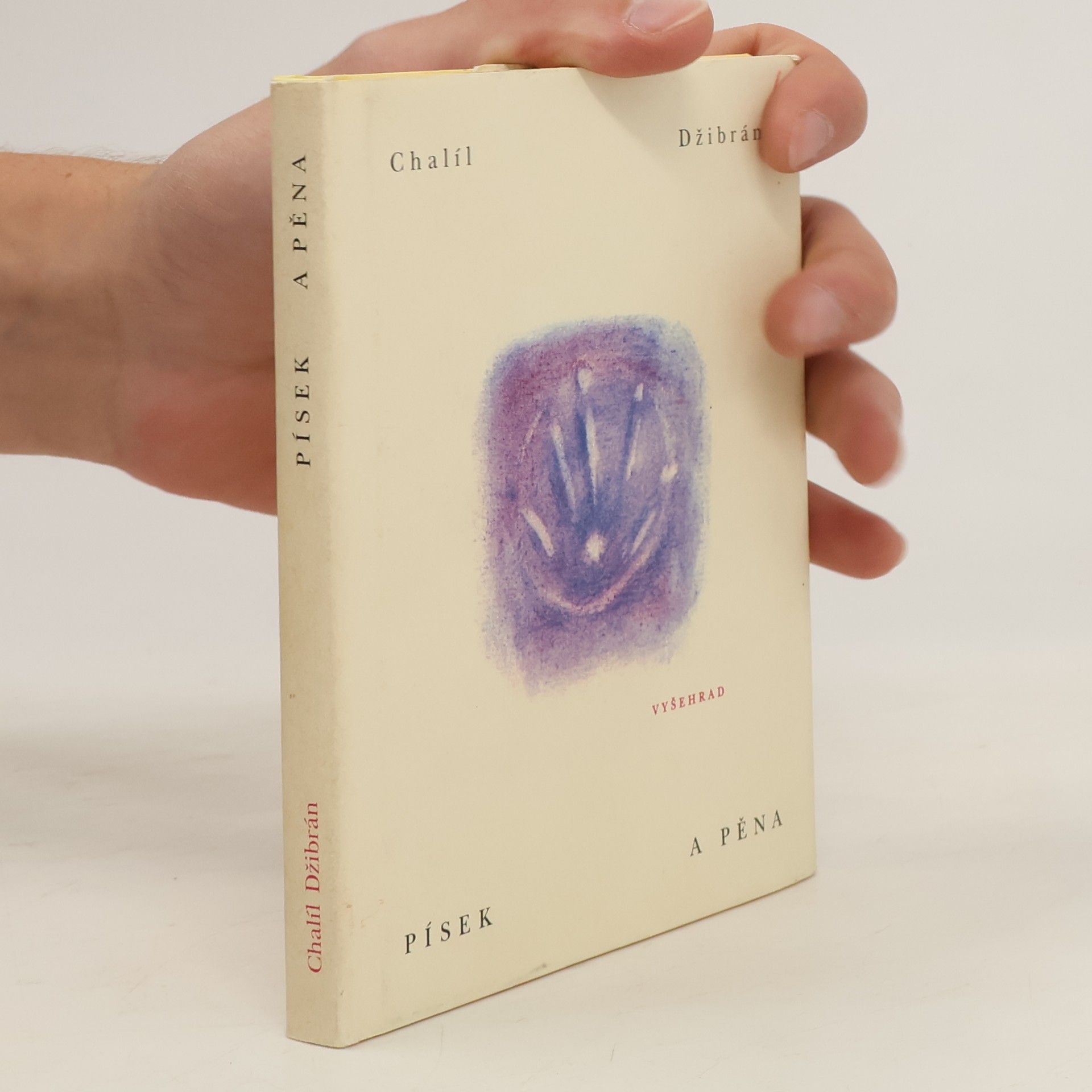 Kahlil Gibran Písek a pěna