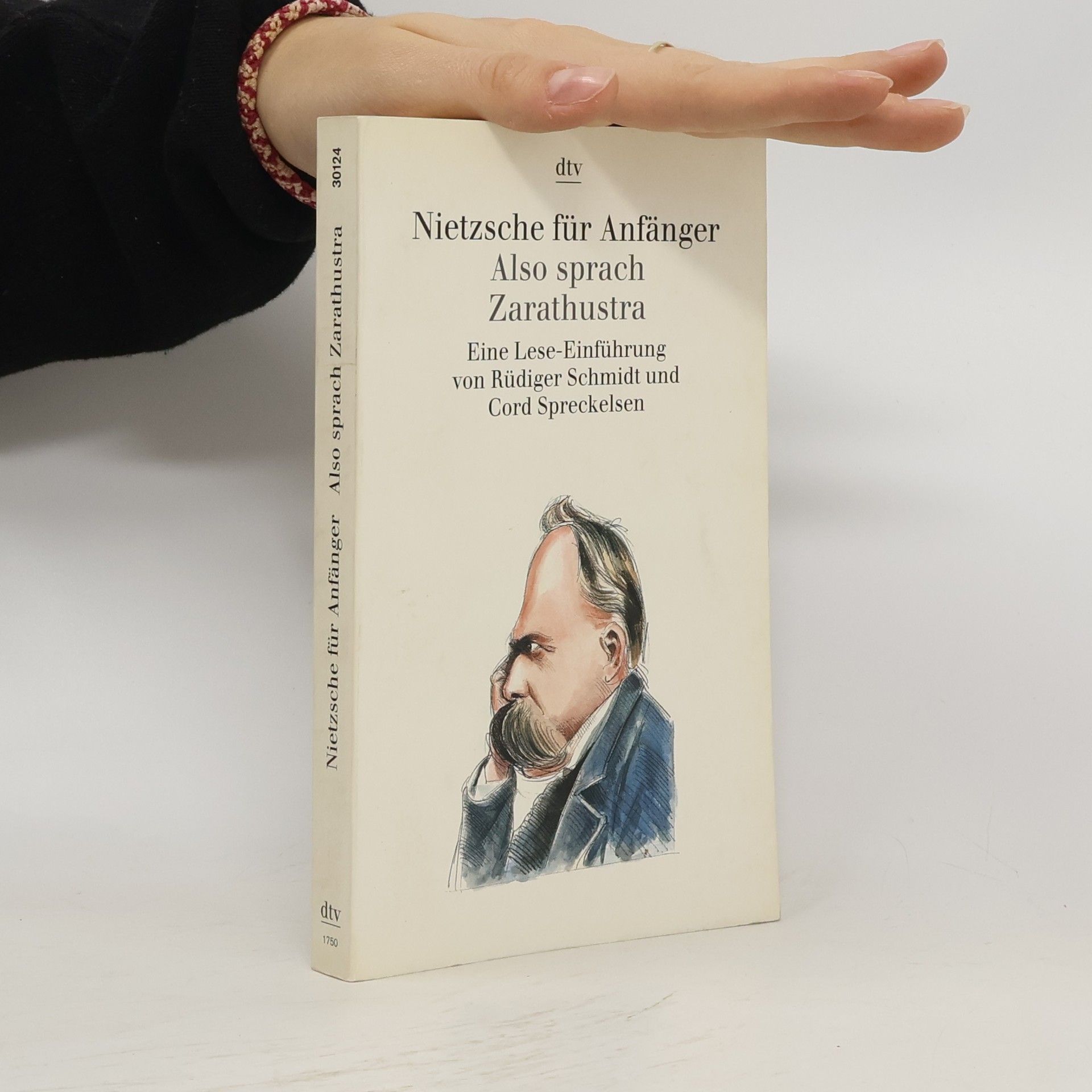 Cord Spreckelsen Nietzsche für Anfänger : Also sprach Zarathustra : eine Lese-Einführung