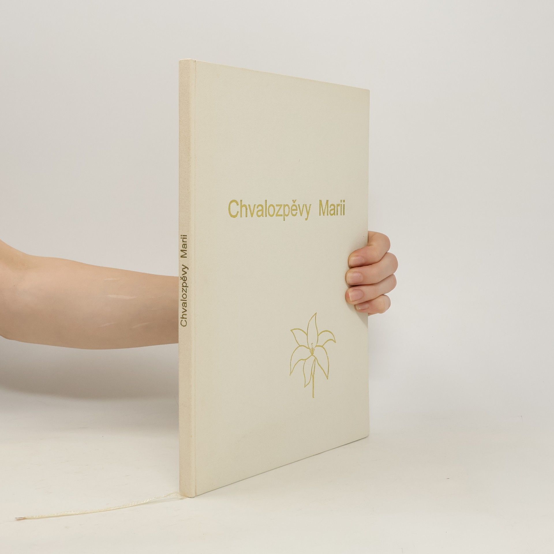 Collectif d'auteurs Chvalozpěvy Marii