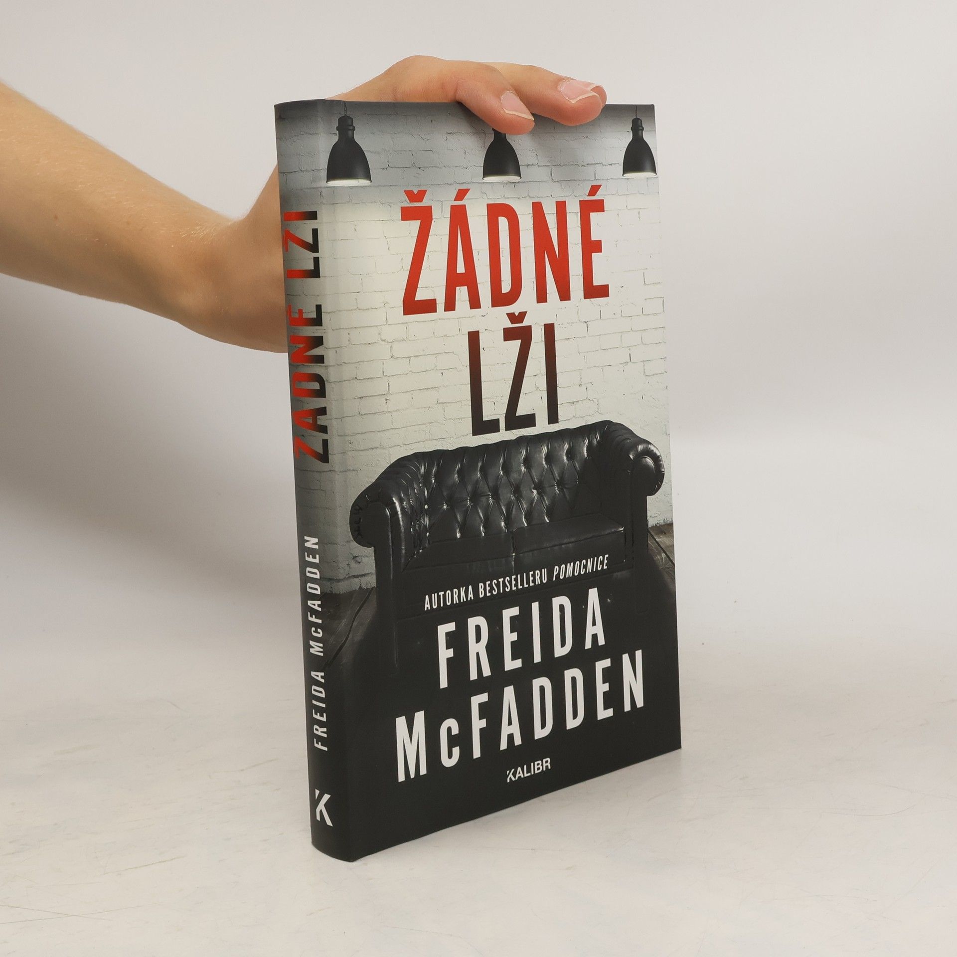 Freida McFadden Žádné lži