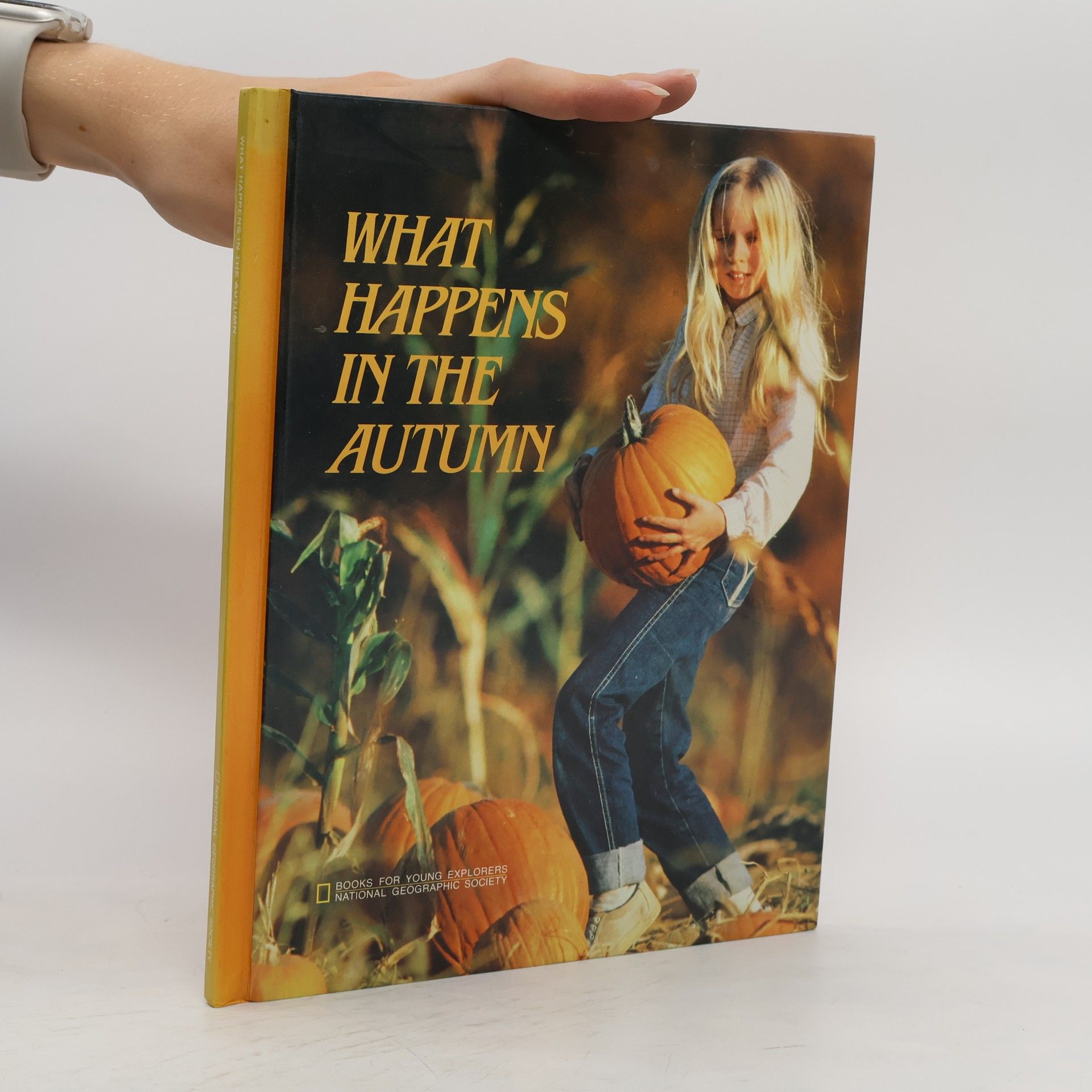 Suzanne Venino What Happens in the Autumn