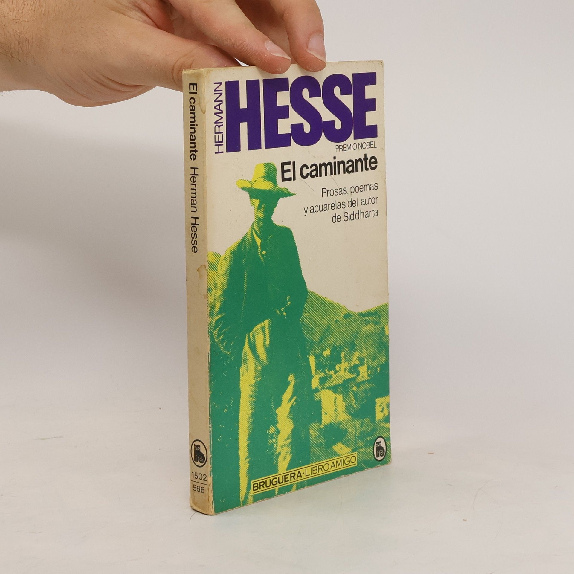 Hermann Hesse El caminante