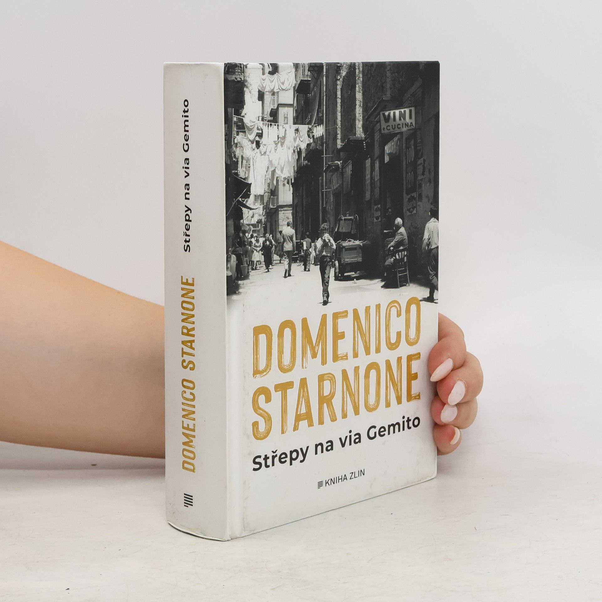 Domenico Starnone Střepy na via Gemito