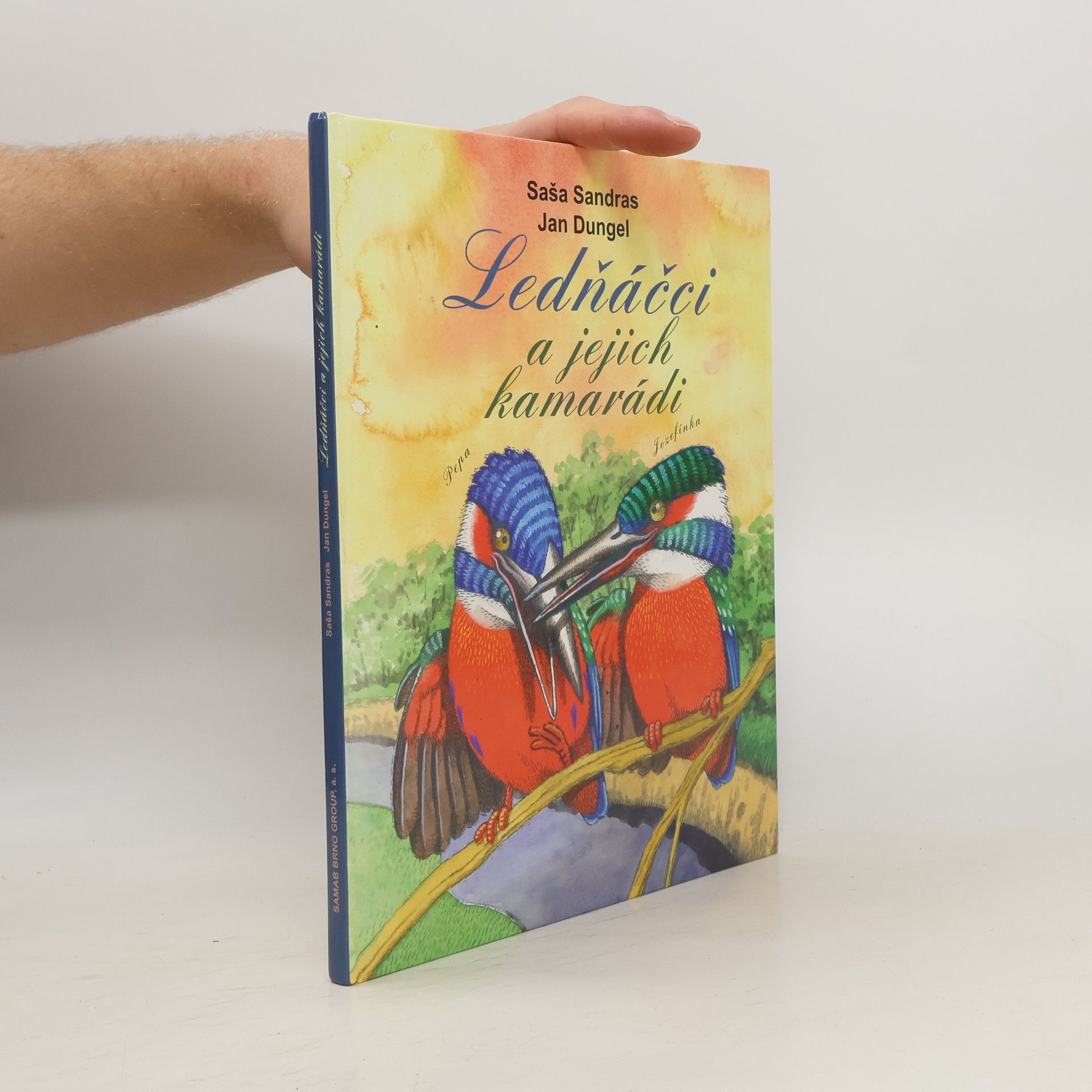 Saša Sandras Ledňáčci a jejich kamarádi