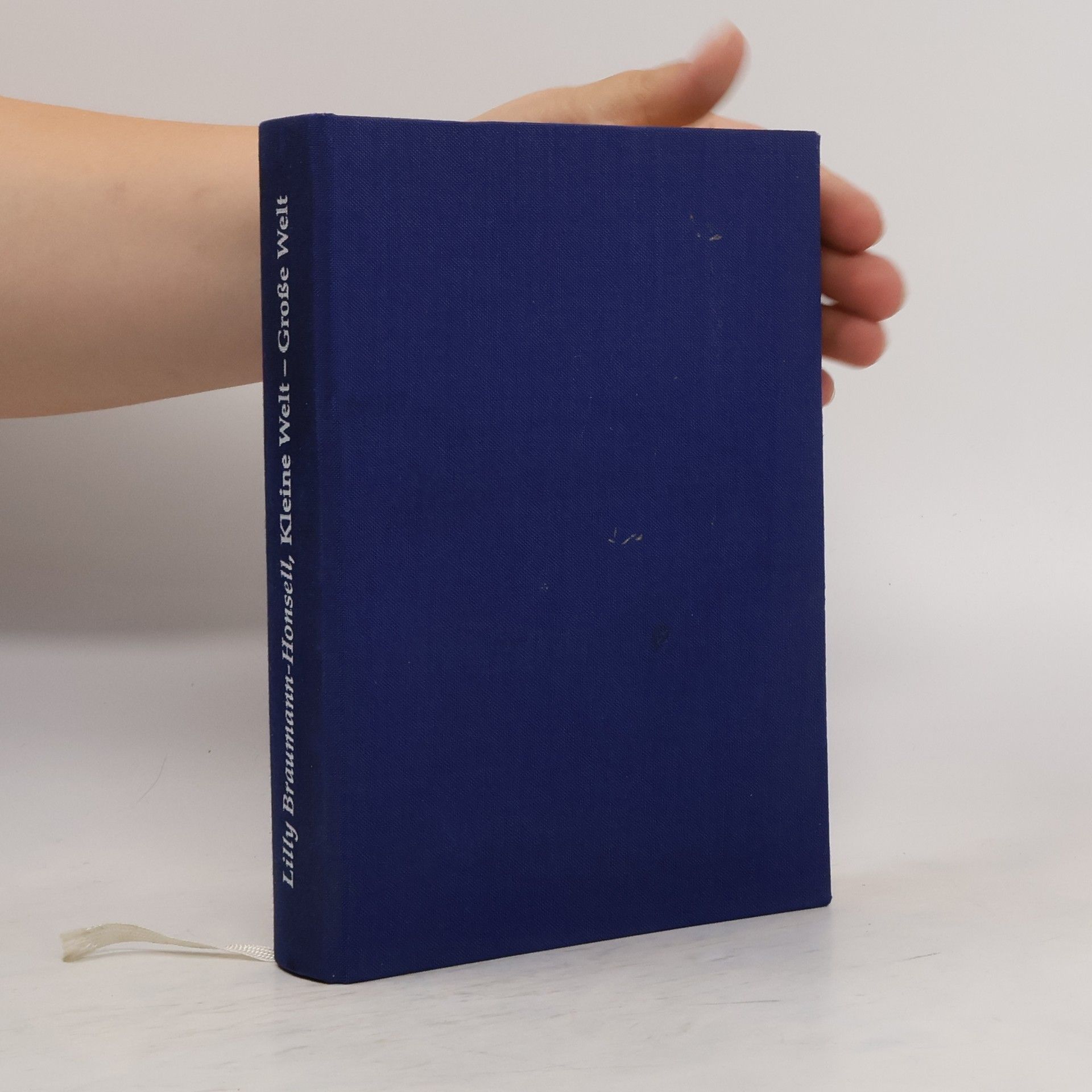 Lilly Braumann-Honsell Kleine Welt, große Welt