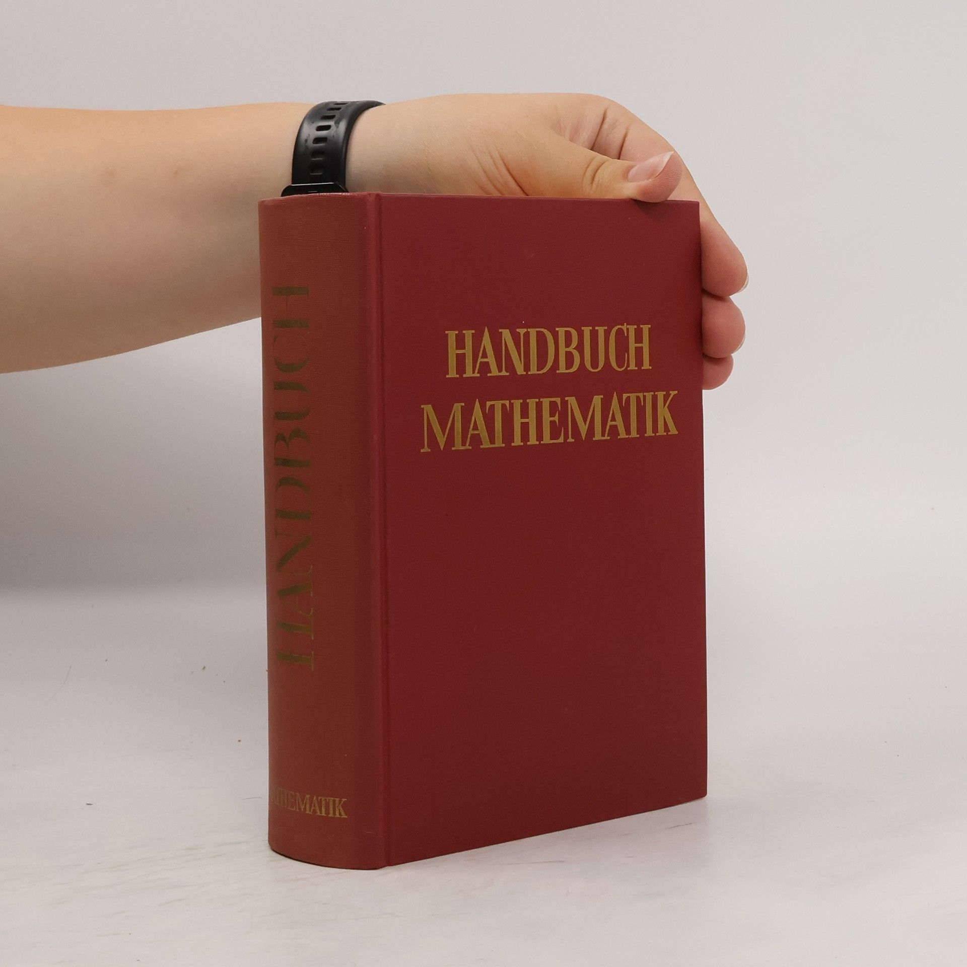 kolektiv Handbuch Mathematik