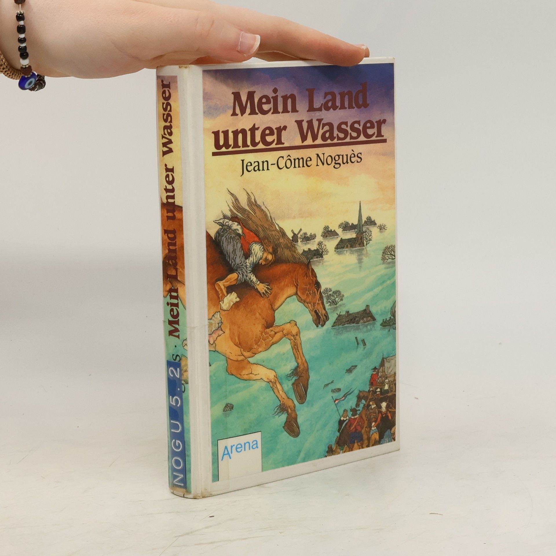 Jean-Come Nogues Mein Land unter Wasser
