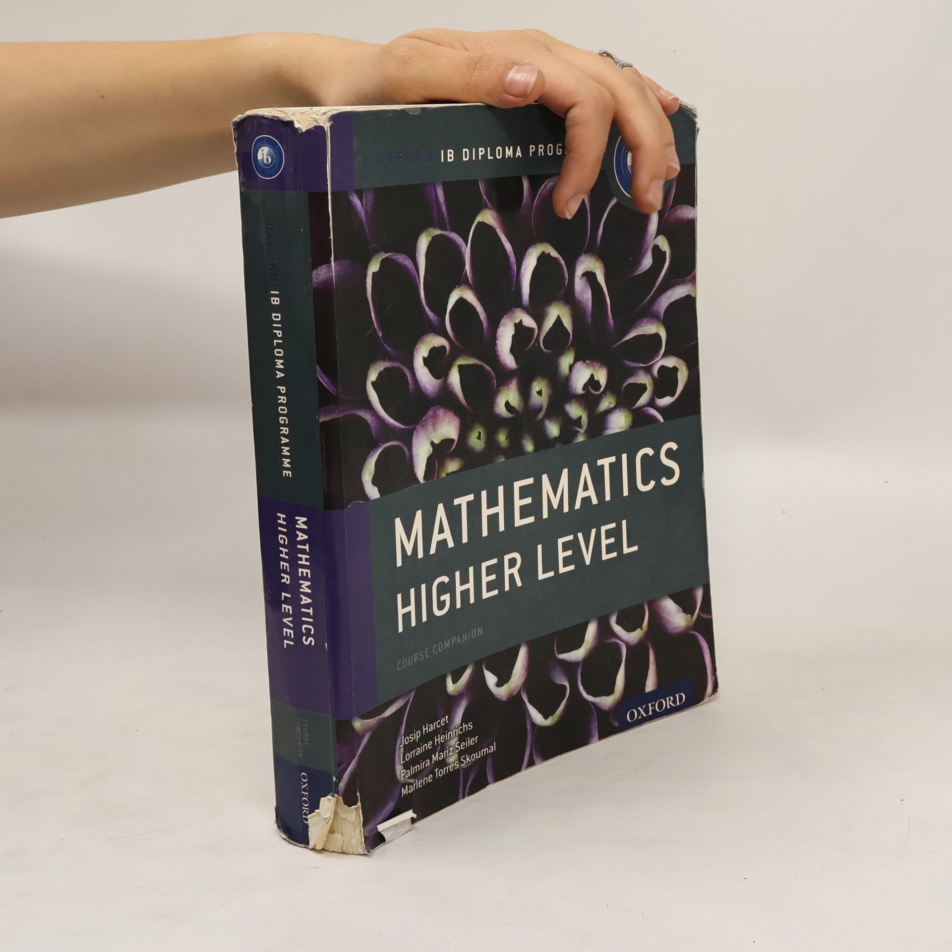 kolektiv Mathematics Higher Level. Course Companion