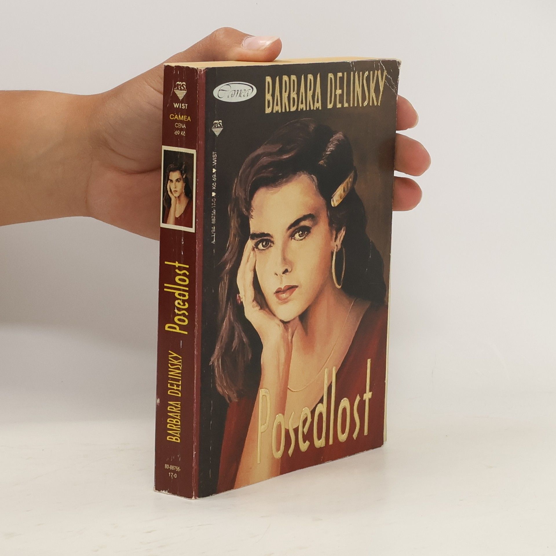 Barbara Delinsky Posedlost