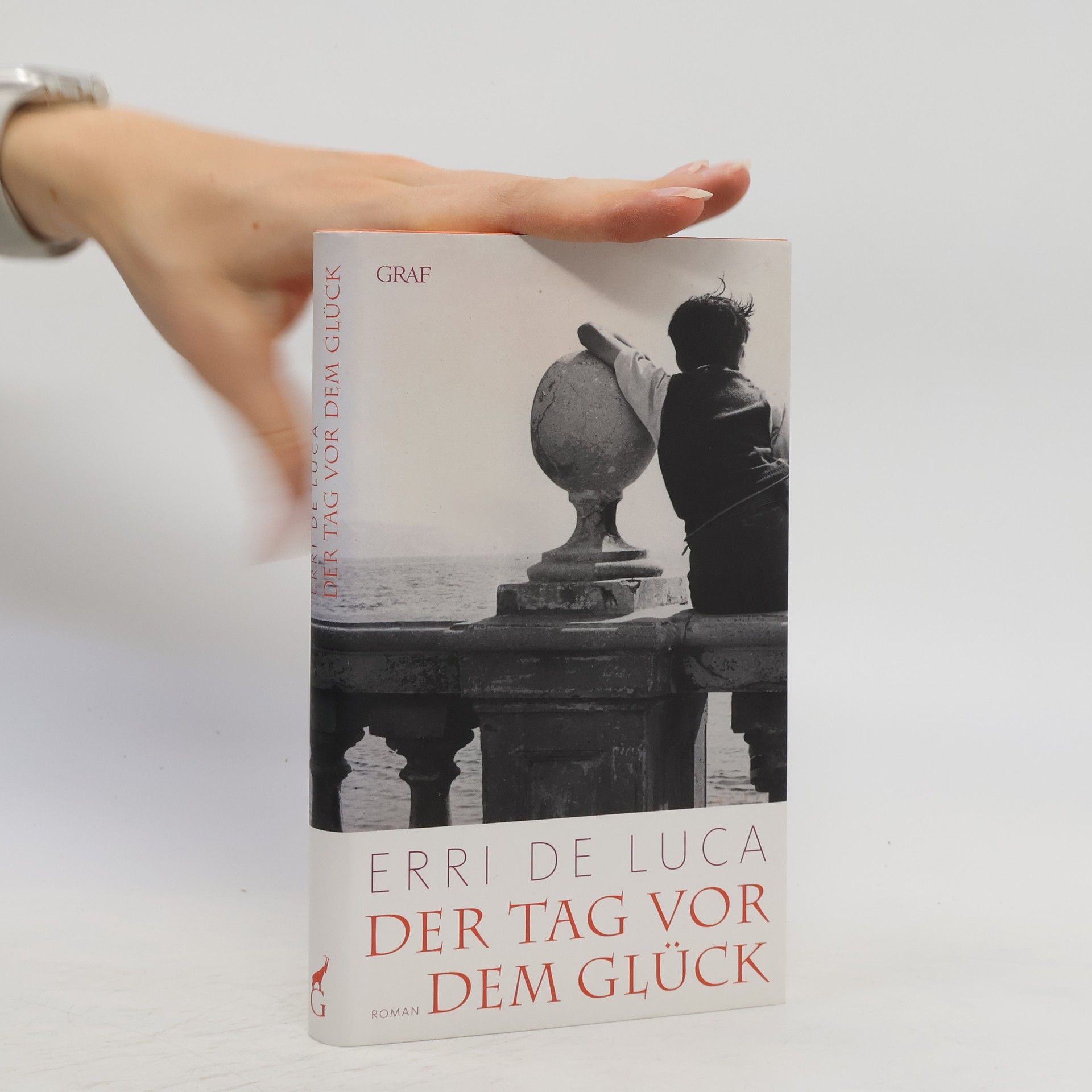 Erri De Luca Der Tag vor dem Glück