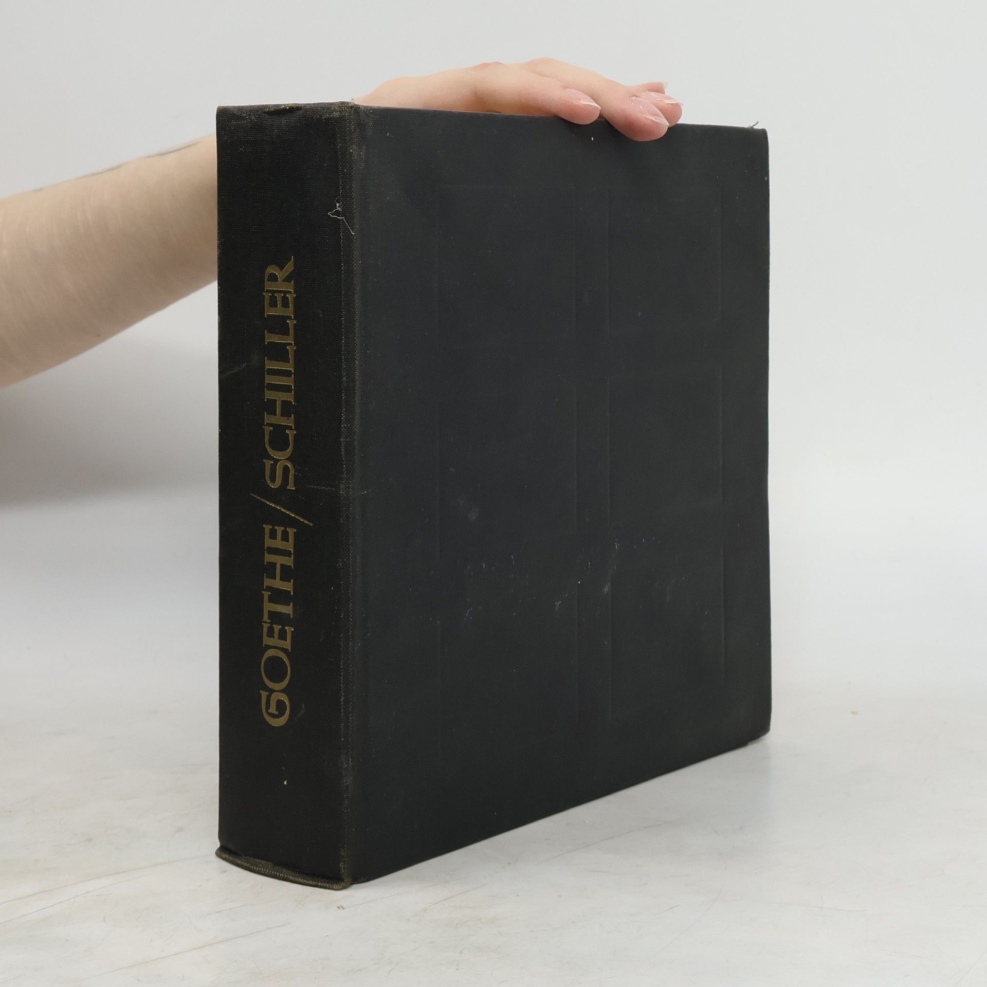 Johann Wolfgang von Goethe Goethe - Schiller. Korespondence