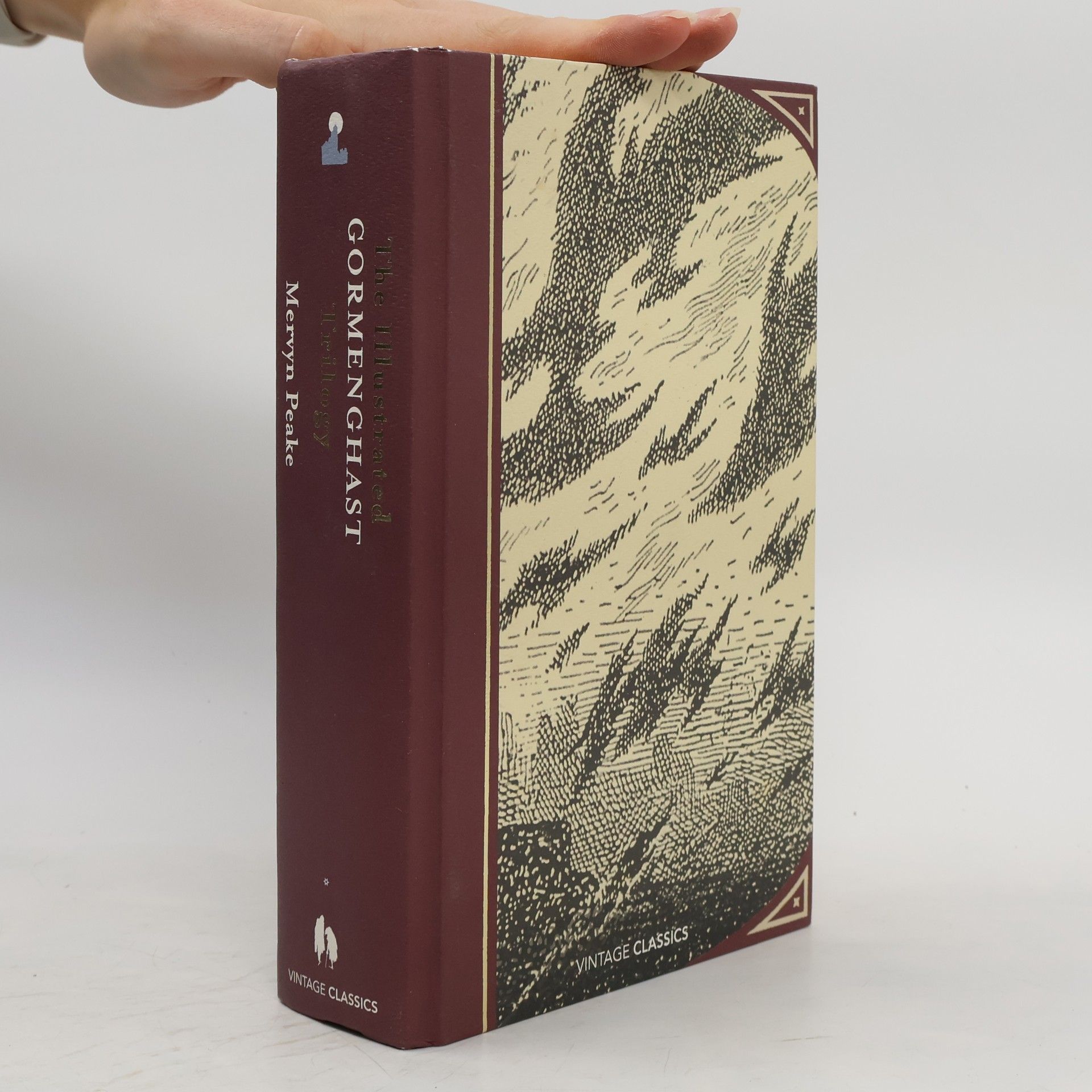 Mervyn Peake The Illustrated Gormenghast Trilogy