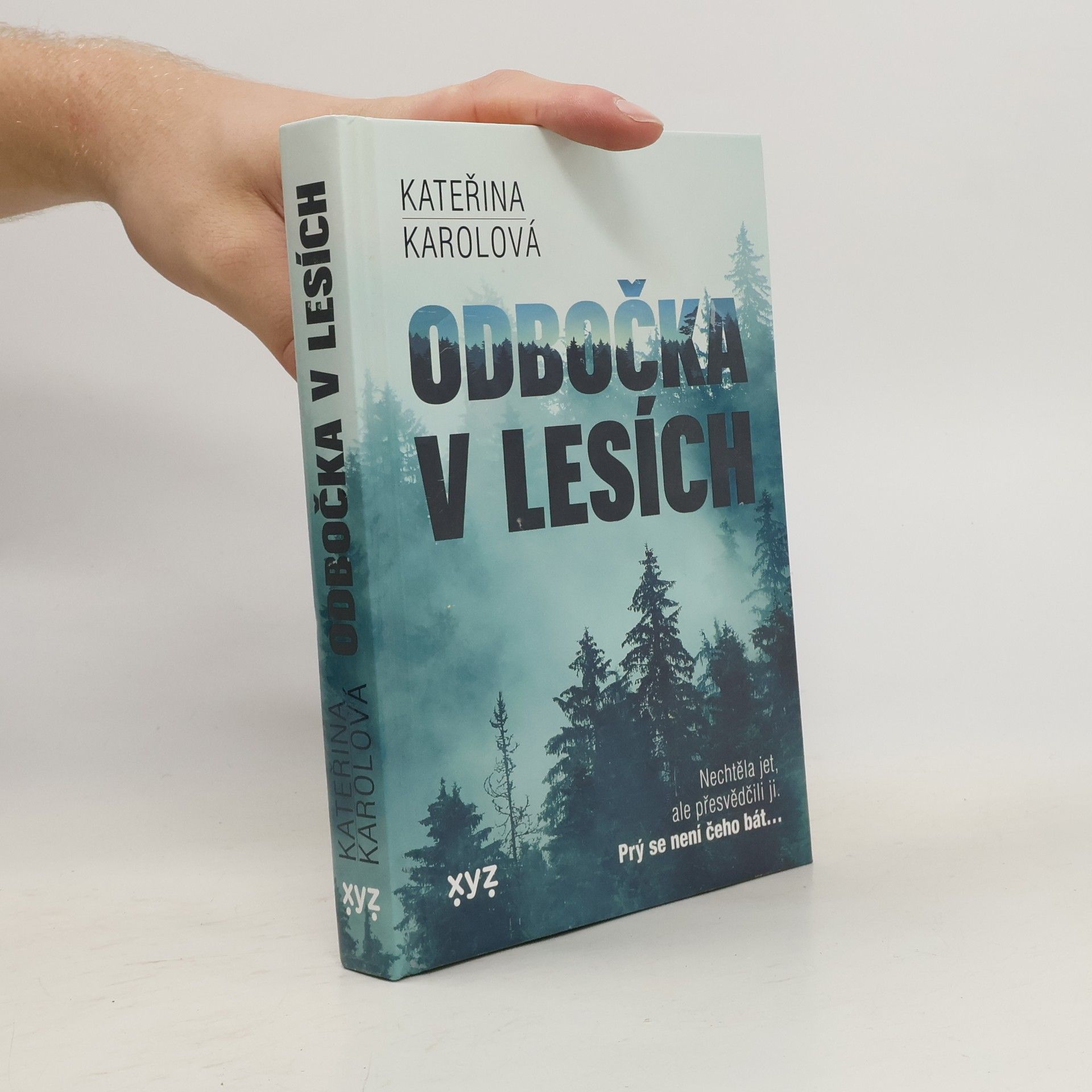Kateřina Karolová Odbočka v lesích