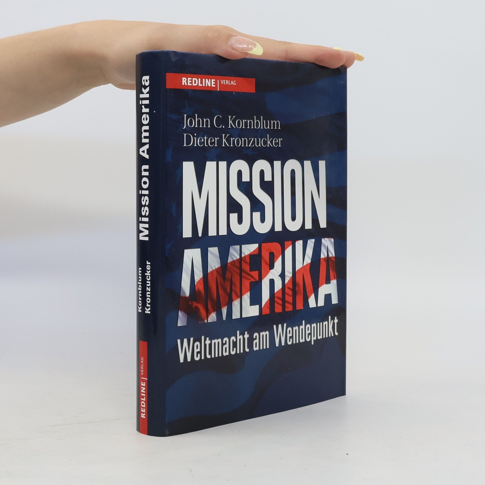John Kornblum Mission Amerika