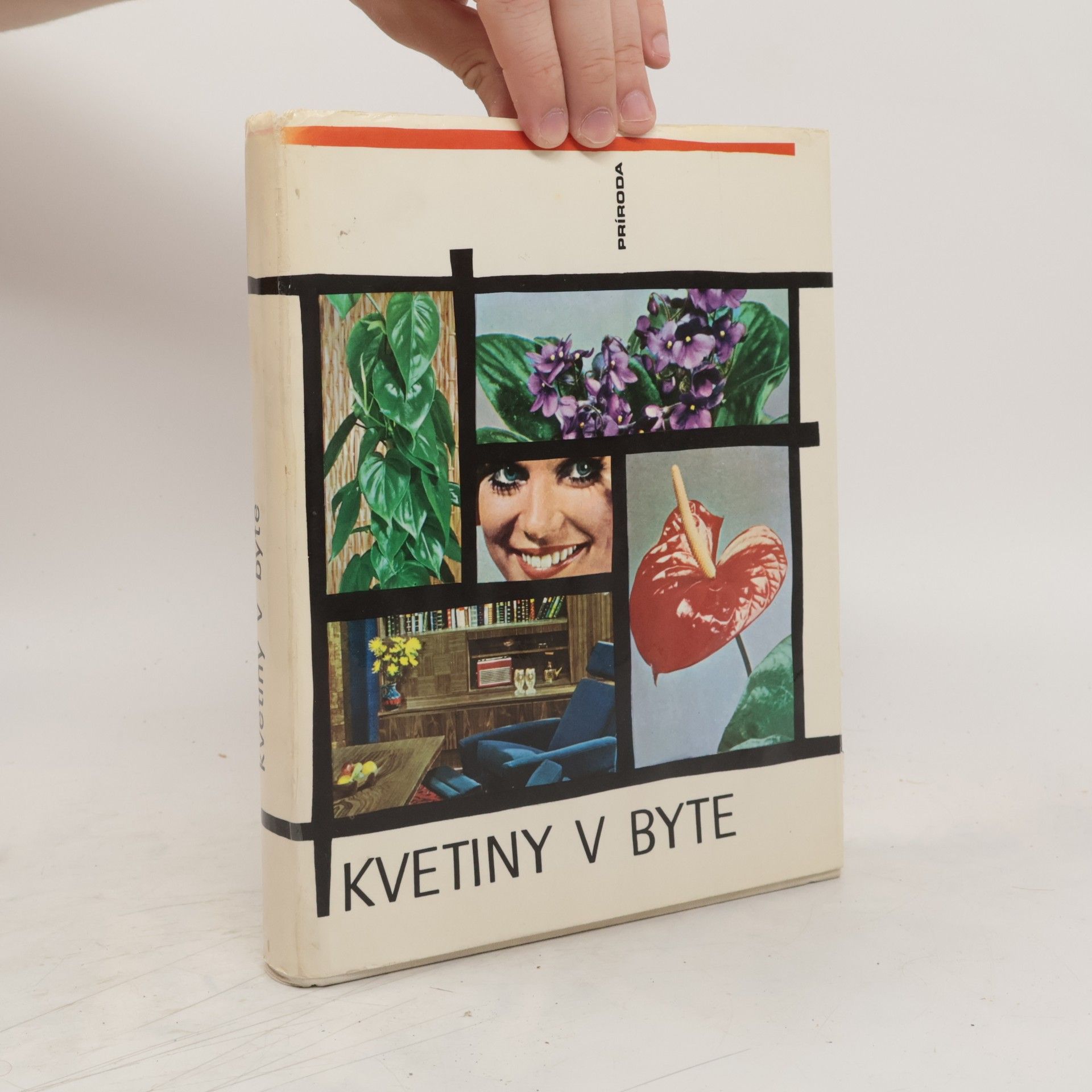 Jaroslav Machovec Kvetiny v byte