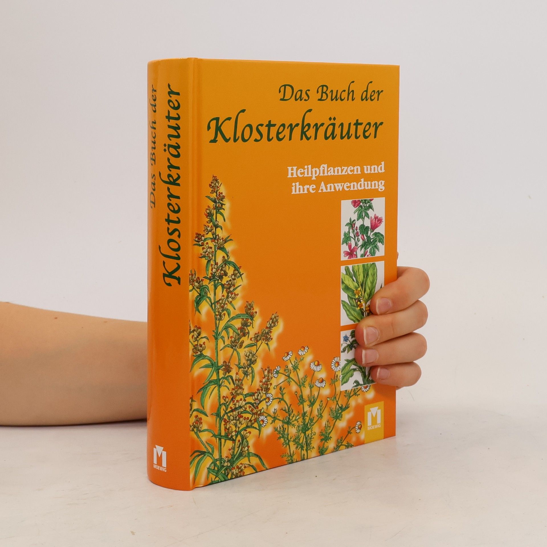 Heidelore Kluge Das Buch der Klosterkräuter