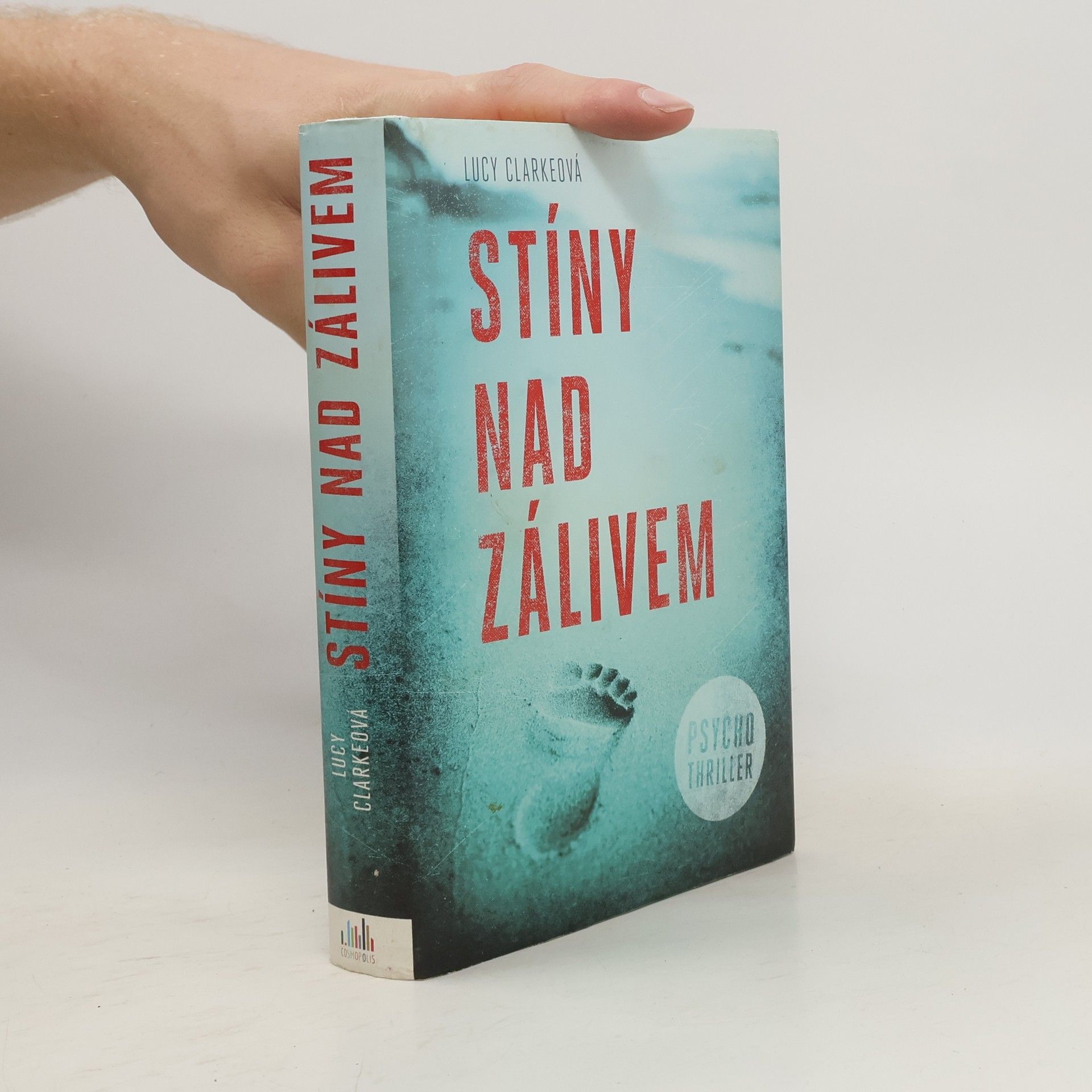 Lucy Clarke Stíny nad zálivem