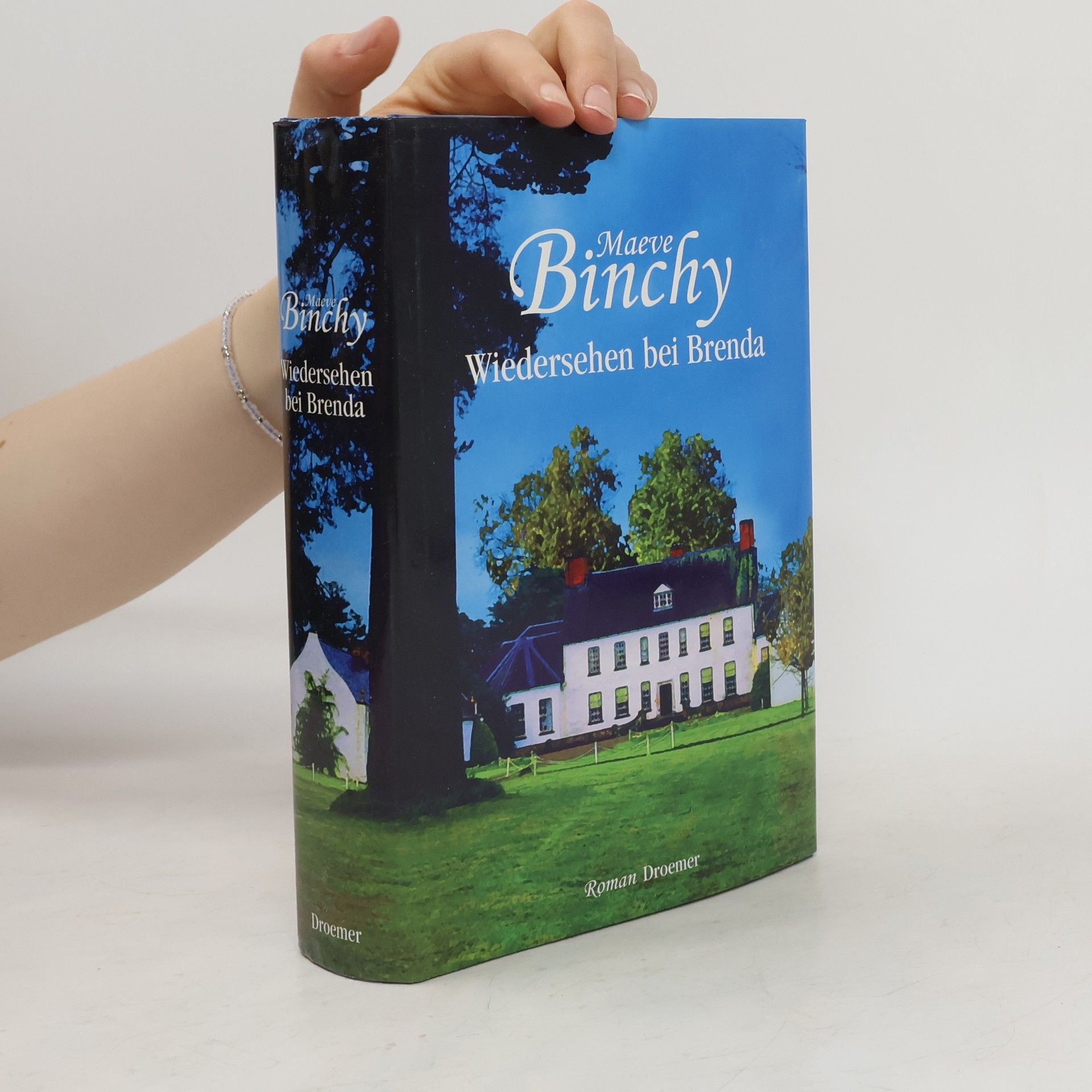 Maeve Binchy Wiedersehen bei Brenda