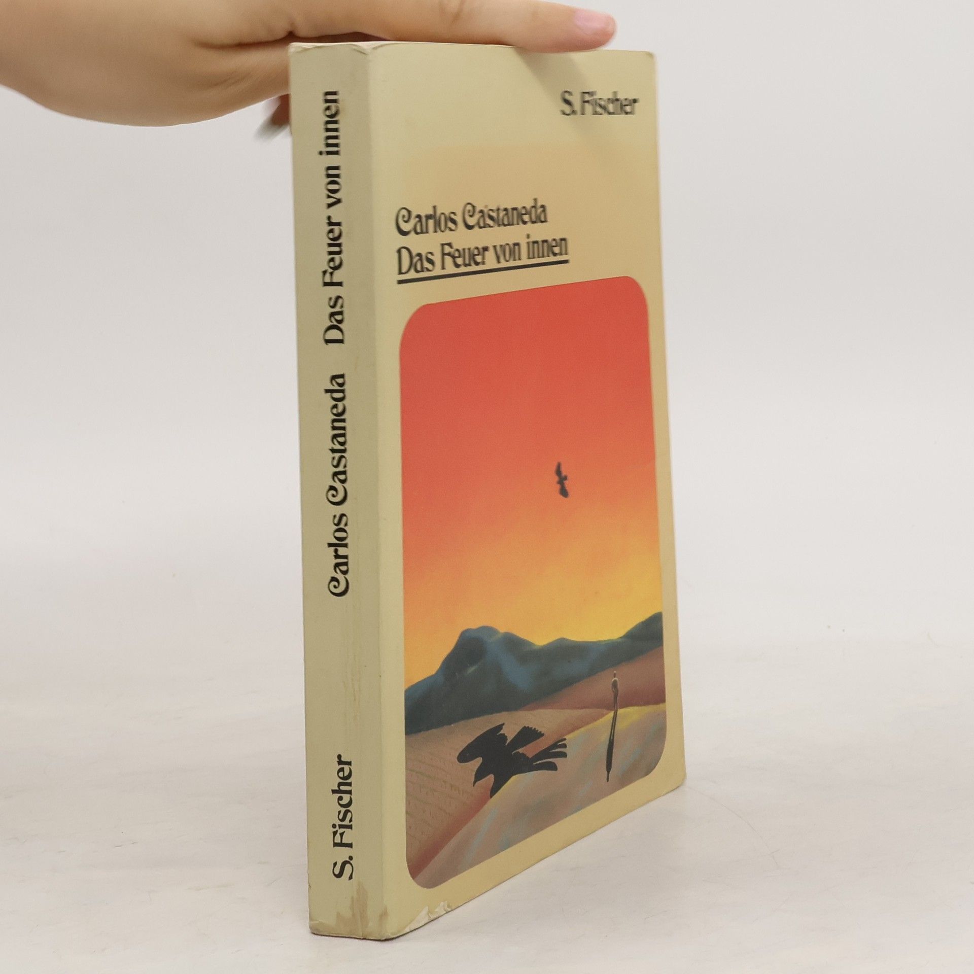 Carlos Castaneda Das Feuer von innen