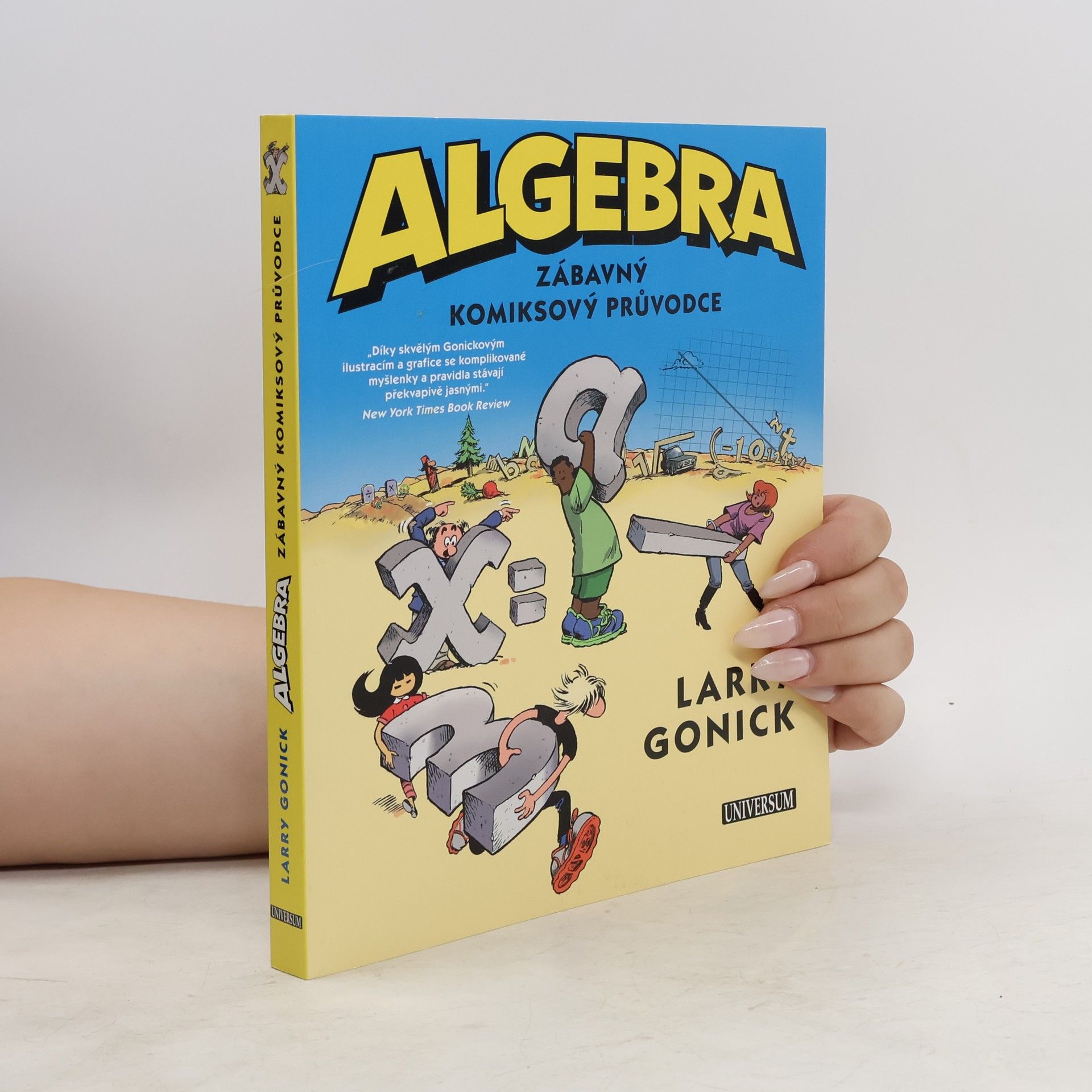 Larry Gonick Algebra. Zábavný komiksový průvodce