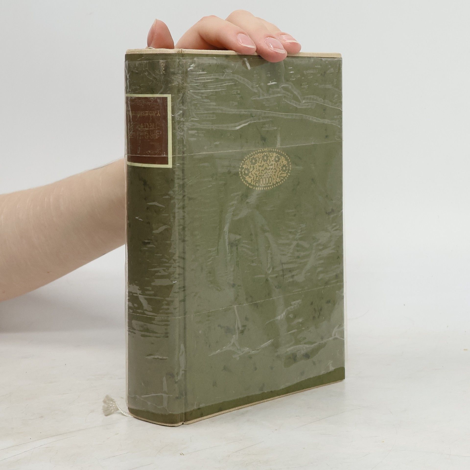 Katherine Mansfield Zahradní slavnost
