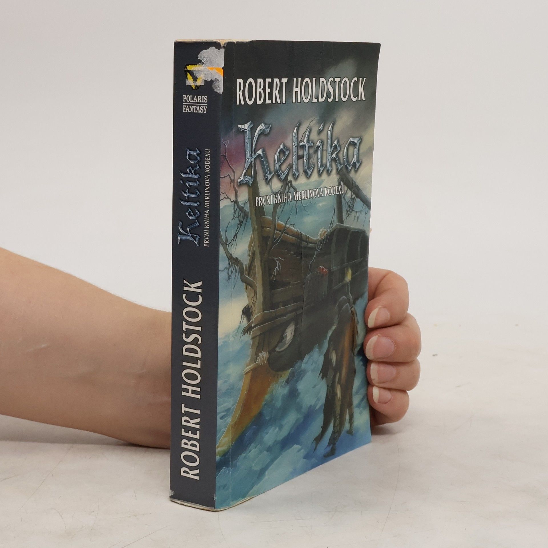 Keltika. První kniha Merlinova kodexu