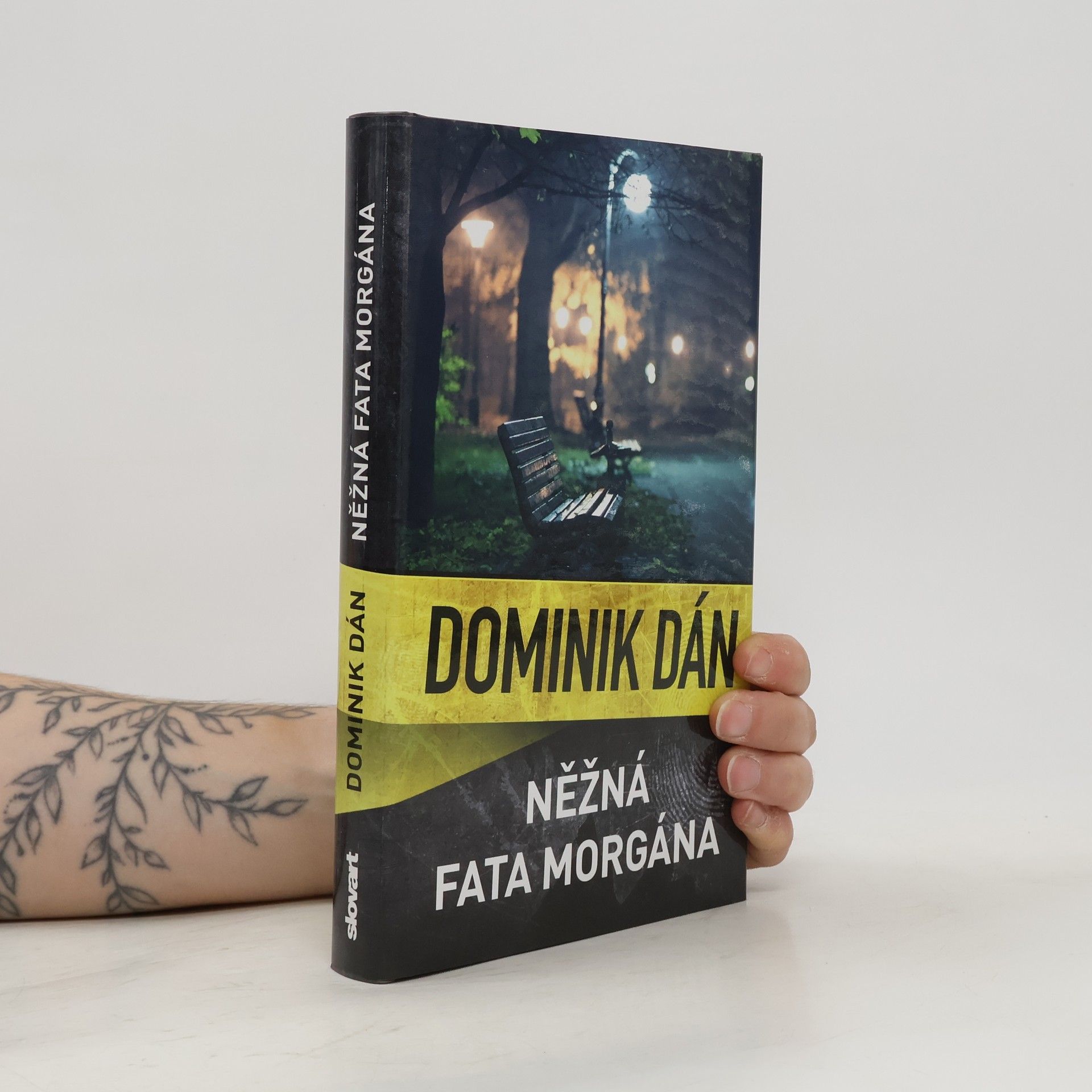 Dominik Dán Něžná fata morgána