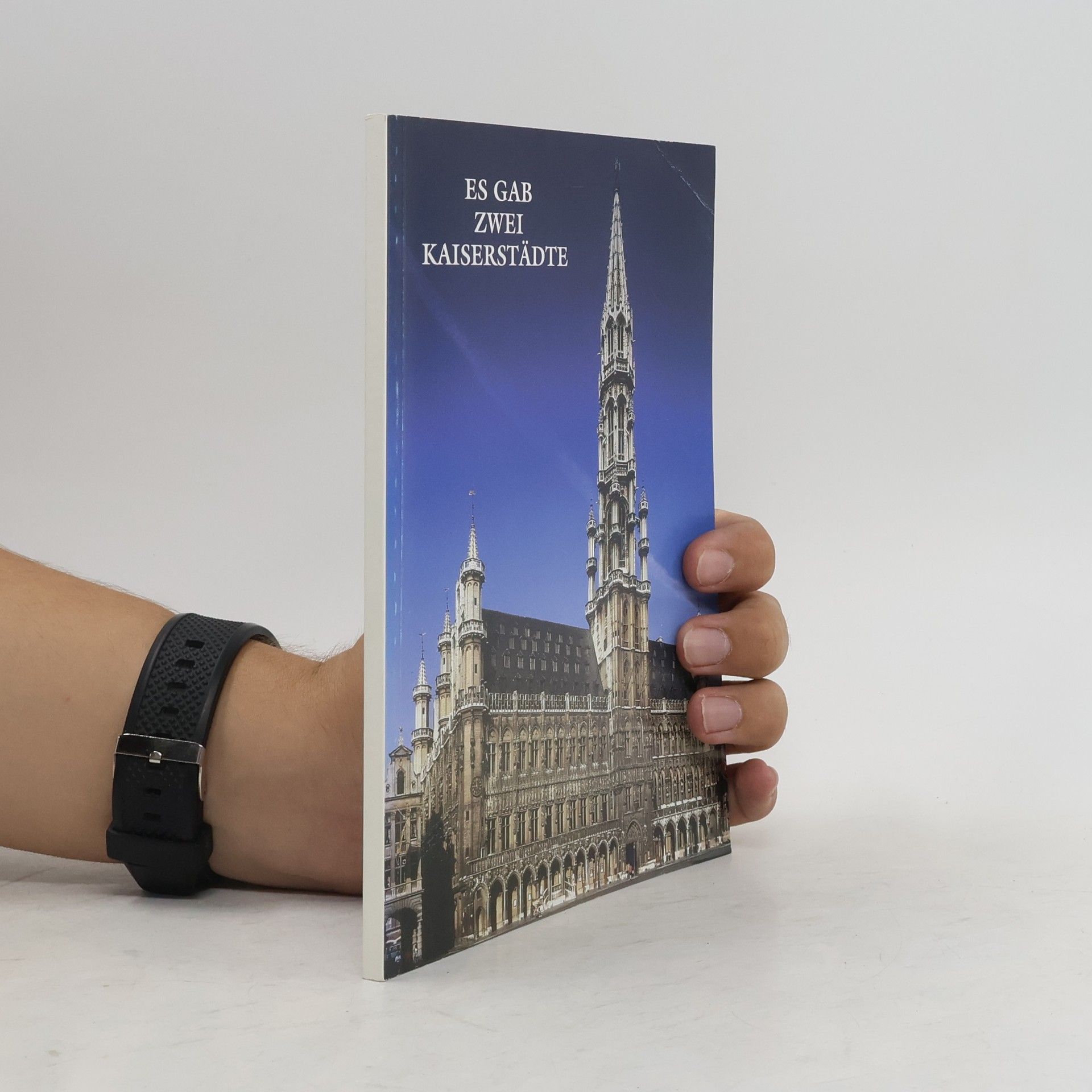 Collectif d'auteurs Es gab zwei Kaiserstädte