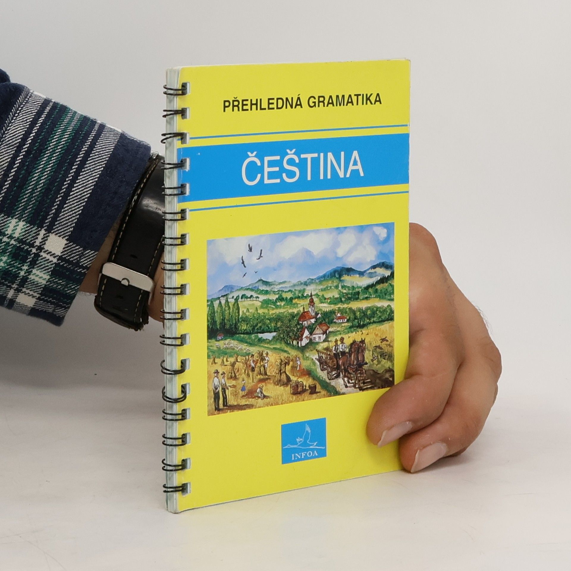 Martina Sobotíková Čeština. Přehledná gramatika