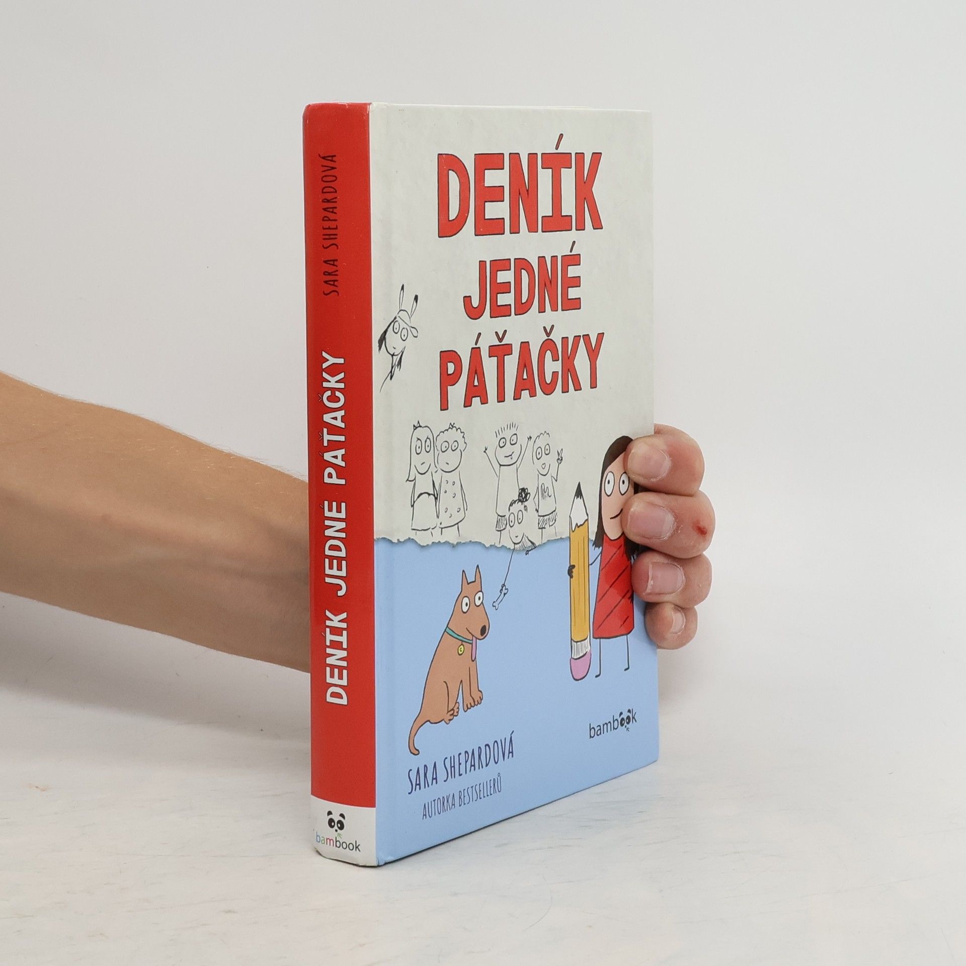 Sara Shepard Deník jedné páťačky