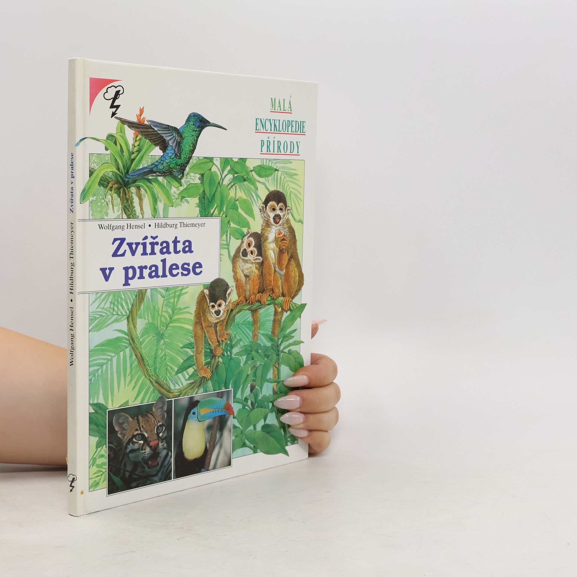 Hildburg Thiemeyer Zvířata v pralese