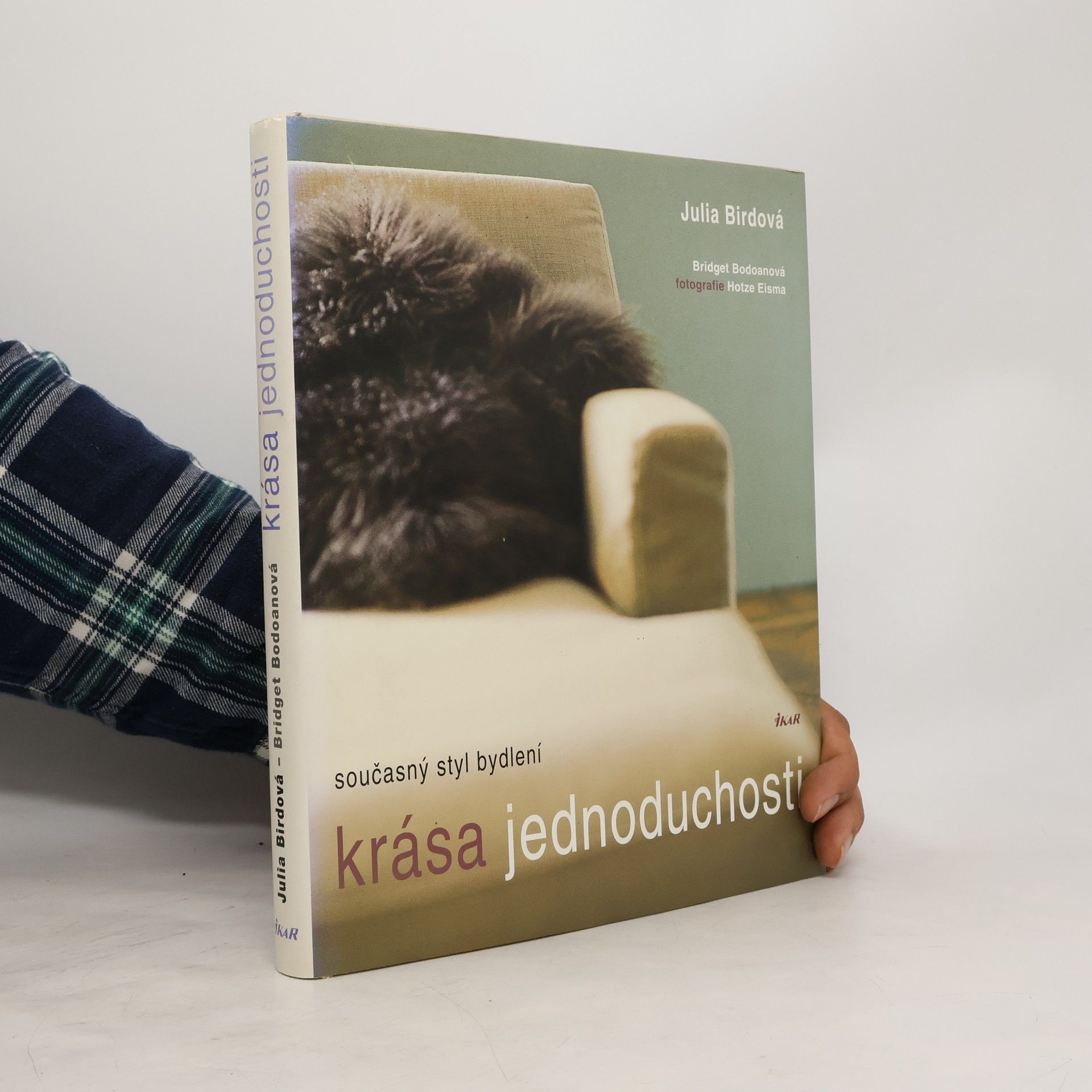 Julia Bird Krása jednoduchosti : současný styl bydlení