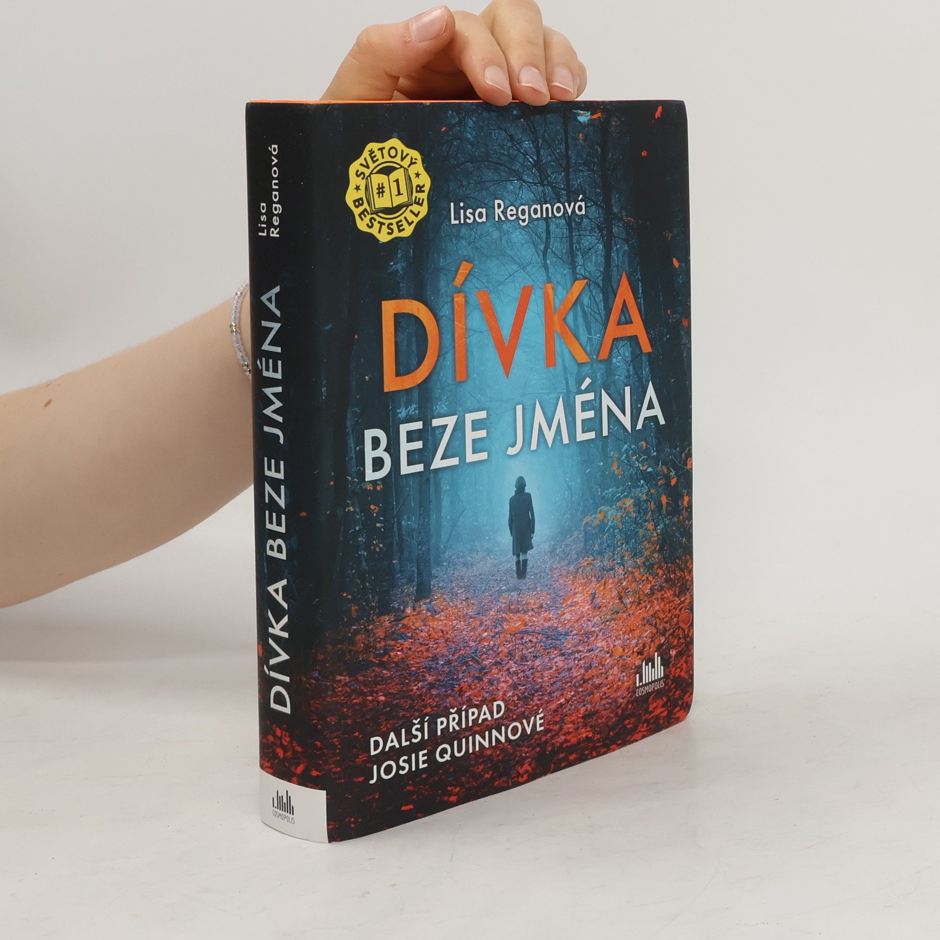 Lisa Regan Dívka beze jména: Další případ Josie Quinnové