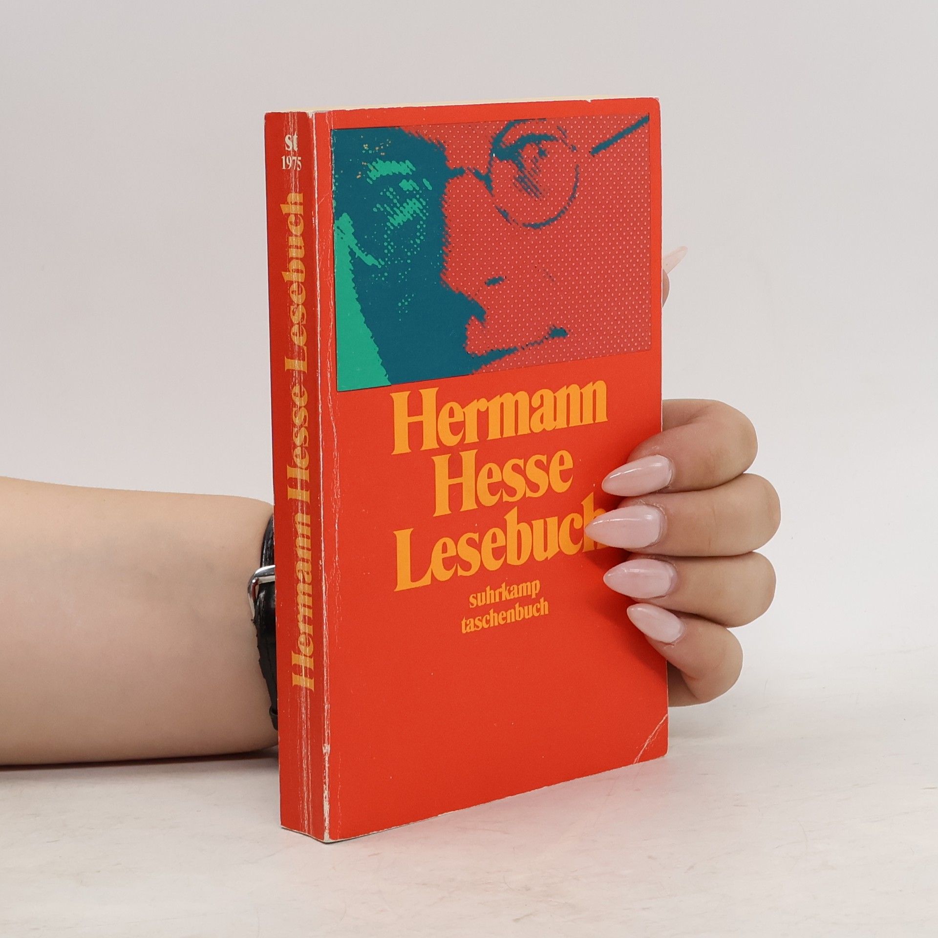 Hermann Hesse Lesebuch