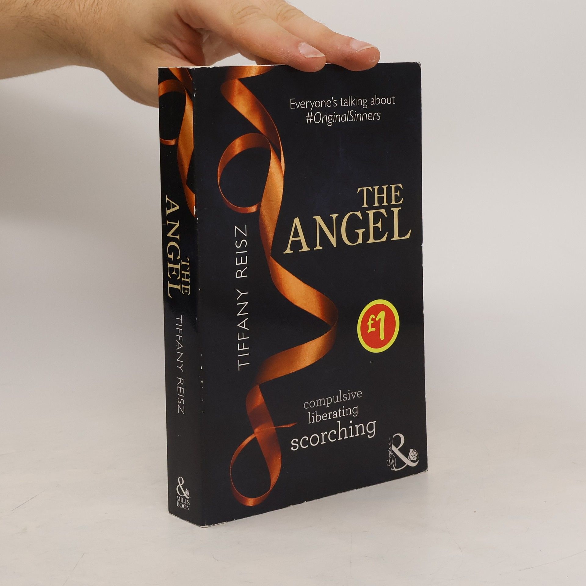Tiffany Reisz The Angel