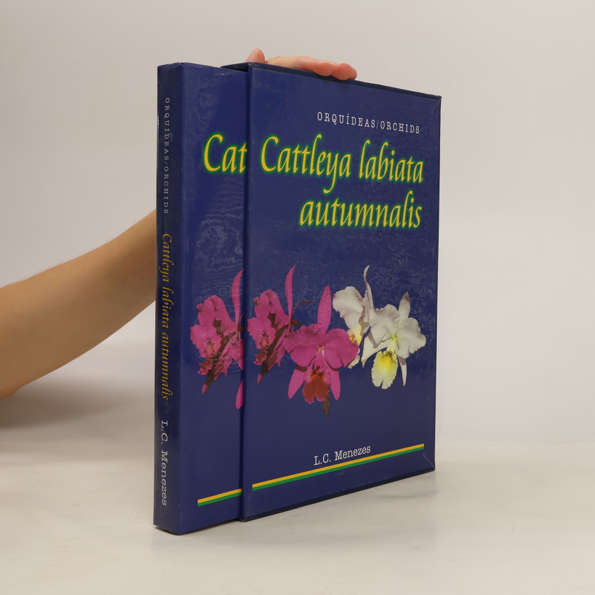 Lou C. Menezes Cattleya labiata autumnalis