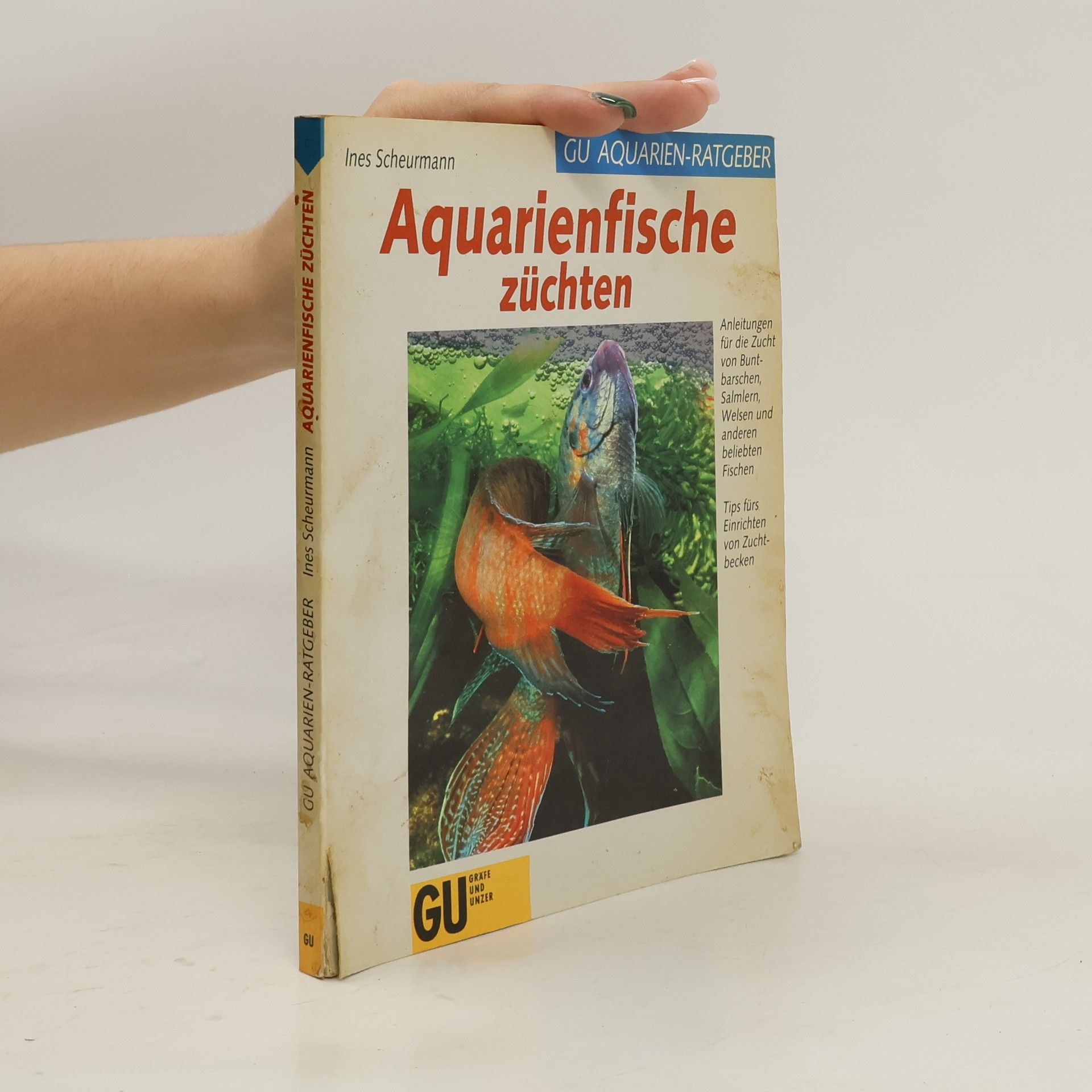 Ines Scheurmann Aquarienfische züchten
