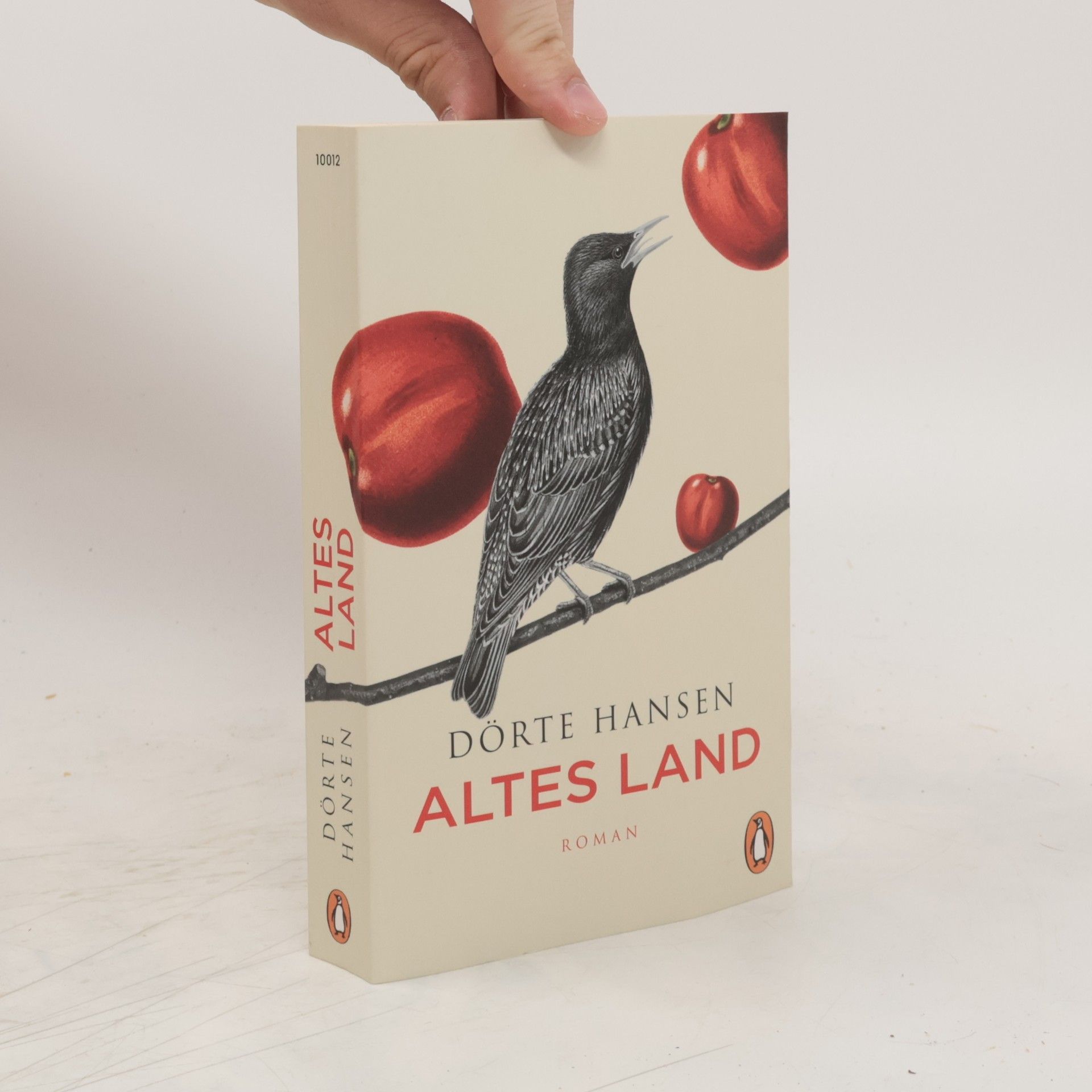 Dörte Hansen Altes Land