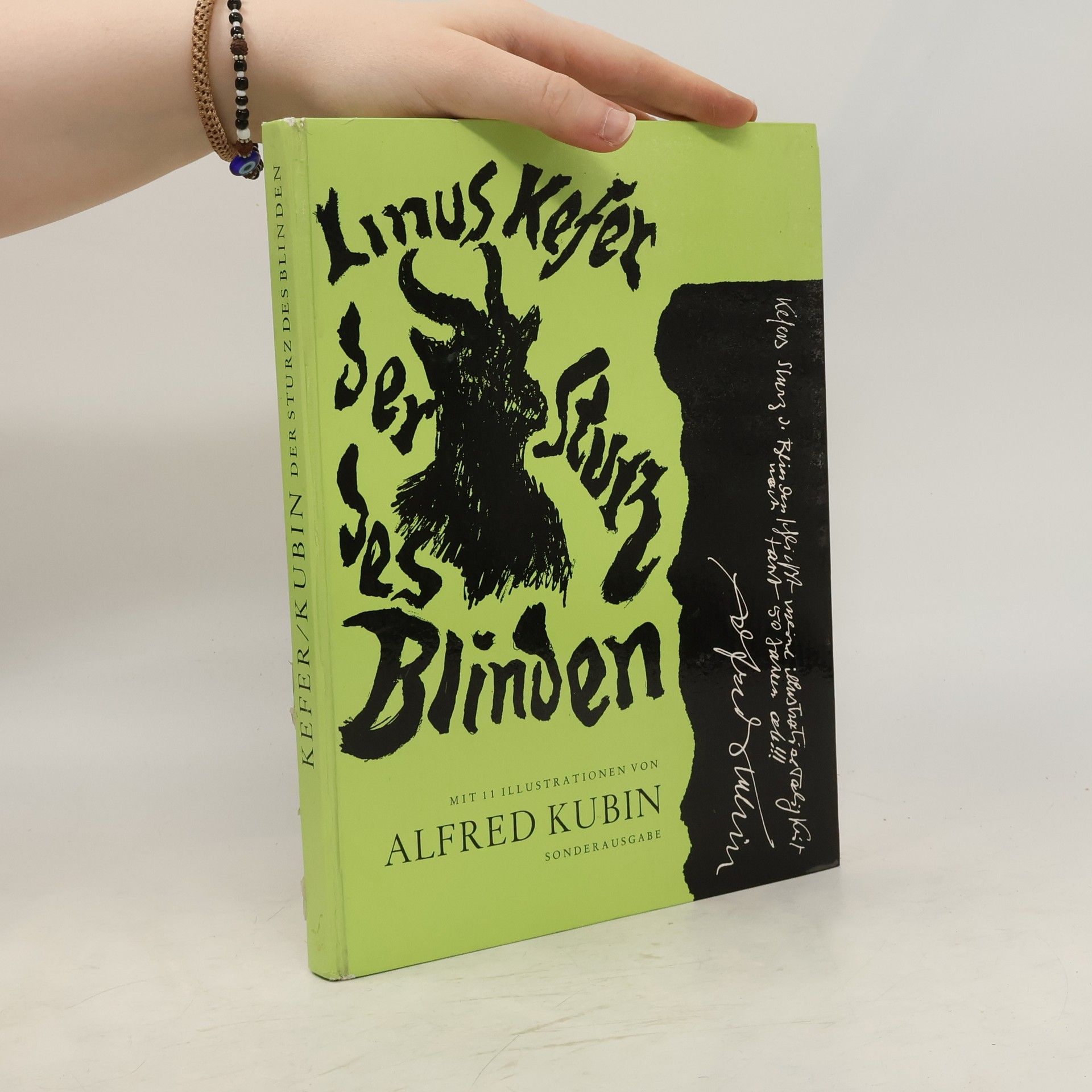 Alfred Kubin Der Sturz des Blinden